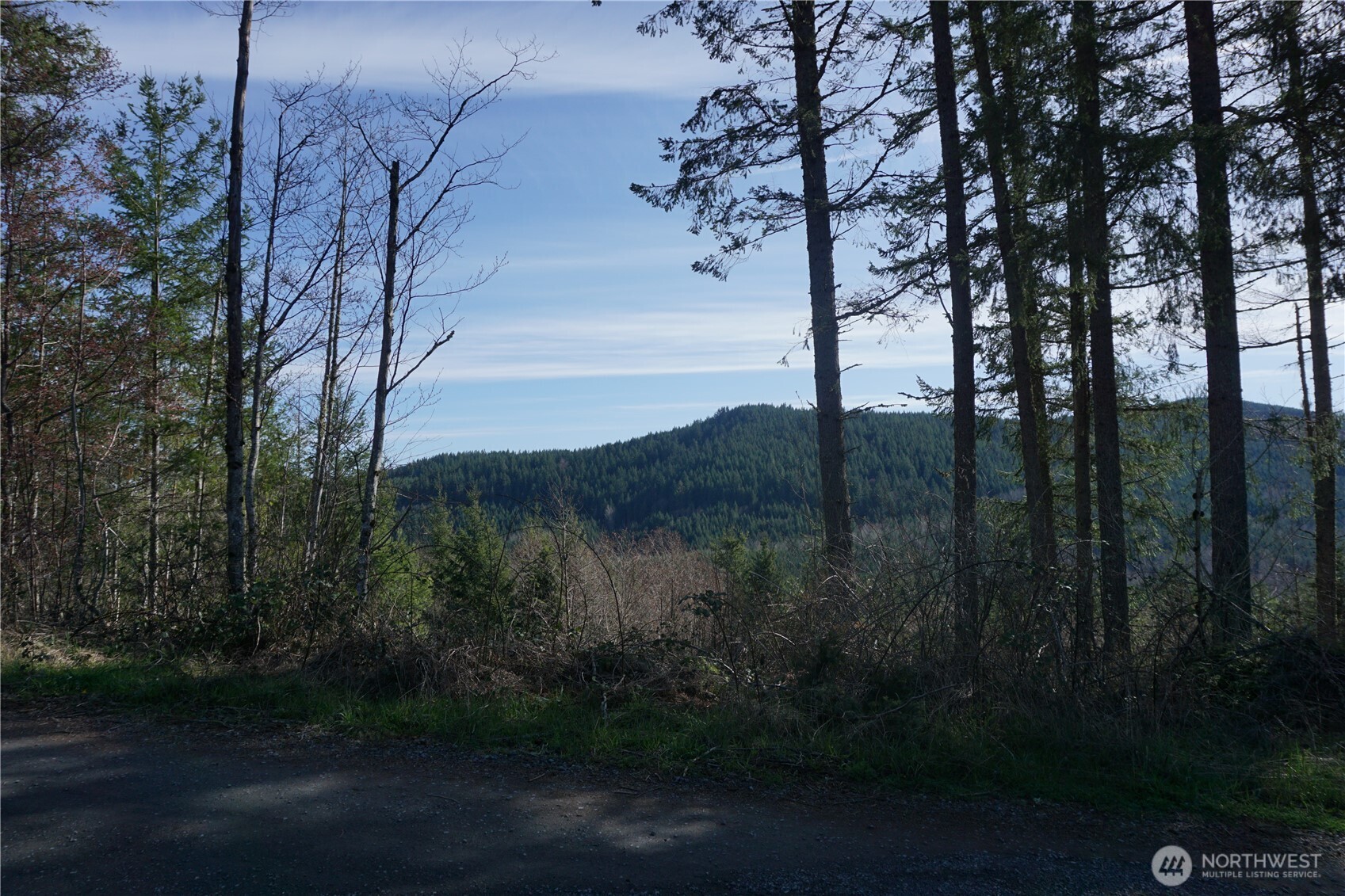 50215 146th Avenue Property Photo 5
