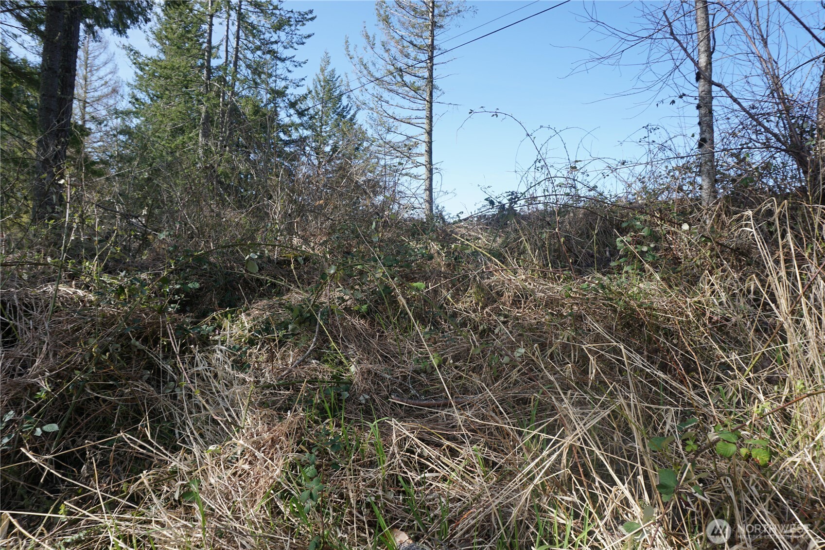 50215 146th Avenue Property Photo 9