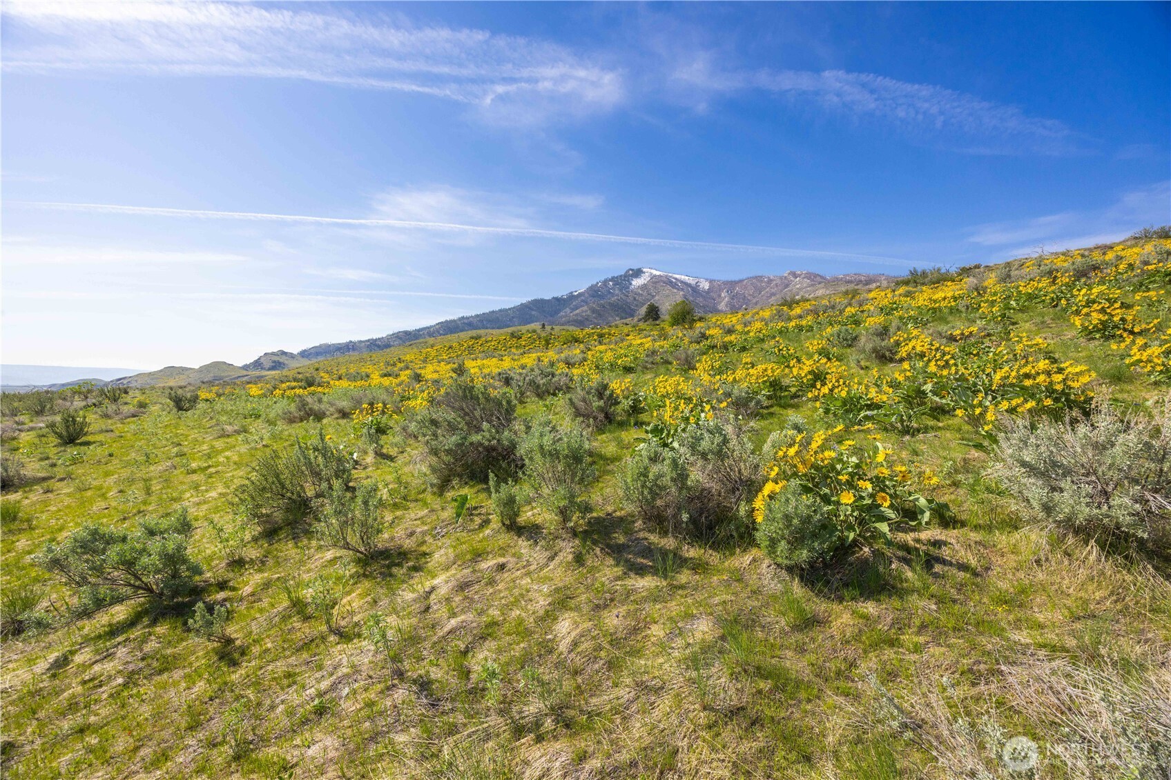 0 Goat Ridge Lot 5 - Hwy 153 5 Property Photo 14