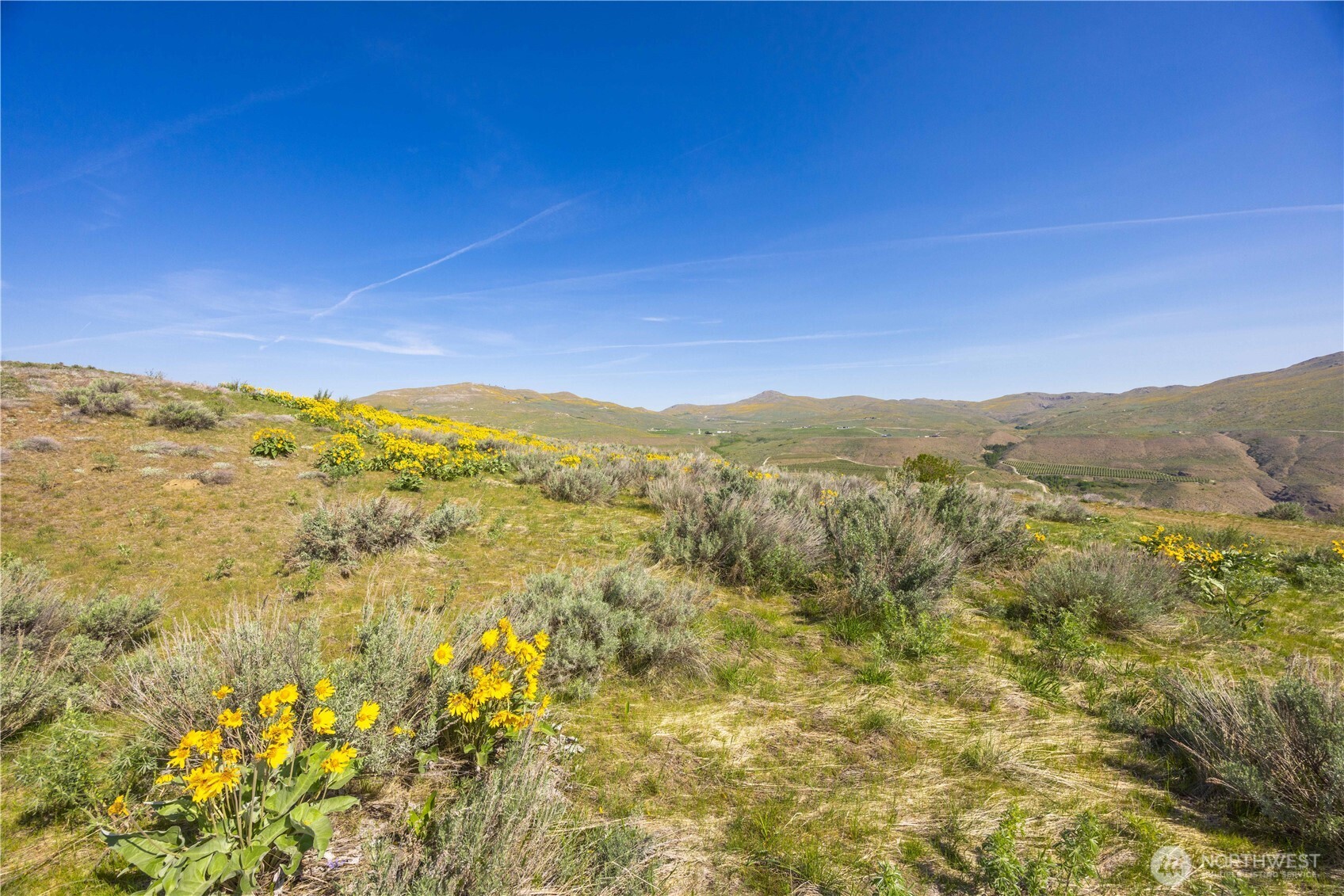 0 Goat Ridge Lot 5 - Hwy 153 5 Property Photo 21