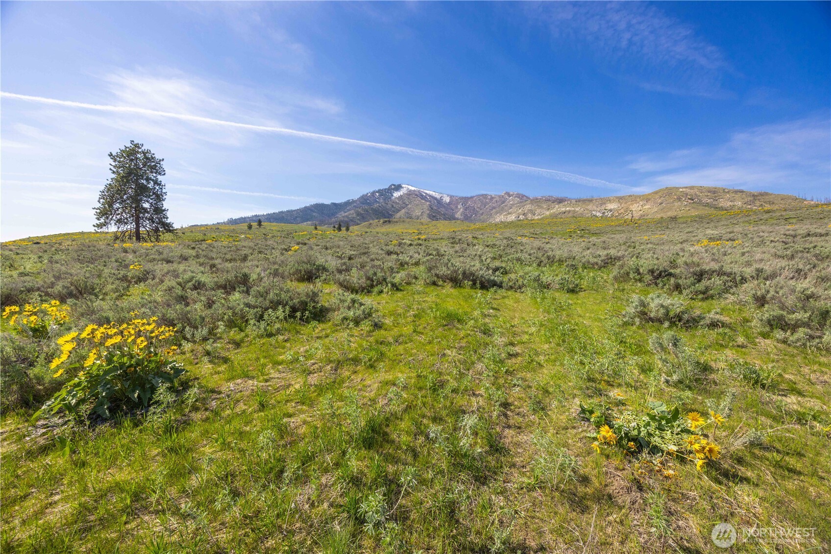 0 Goat Ridge Lot 7 - Hwy 153 7 Property Photo 5