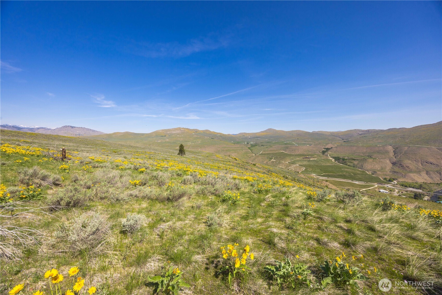 0 Goat Ridge Lot 7 - Hwy 153 7 Property Photo 24