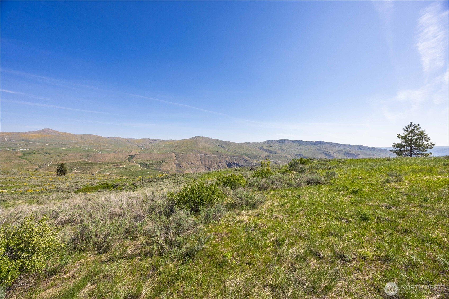0 Goat Ridge Lot 7 - Hwy 153 7 Property Photo 11