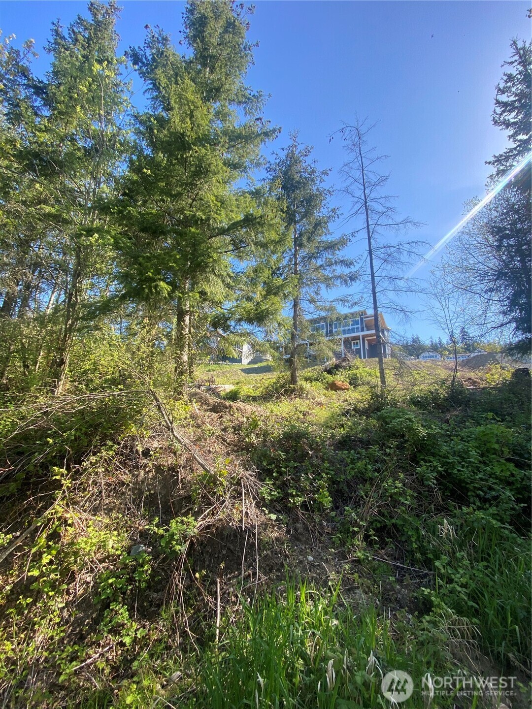 20555 Benson Ridge Lane Property Photo 38
