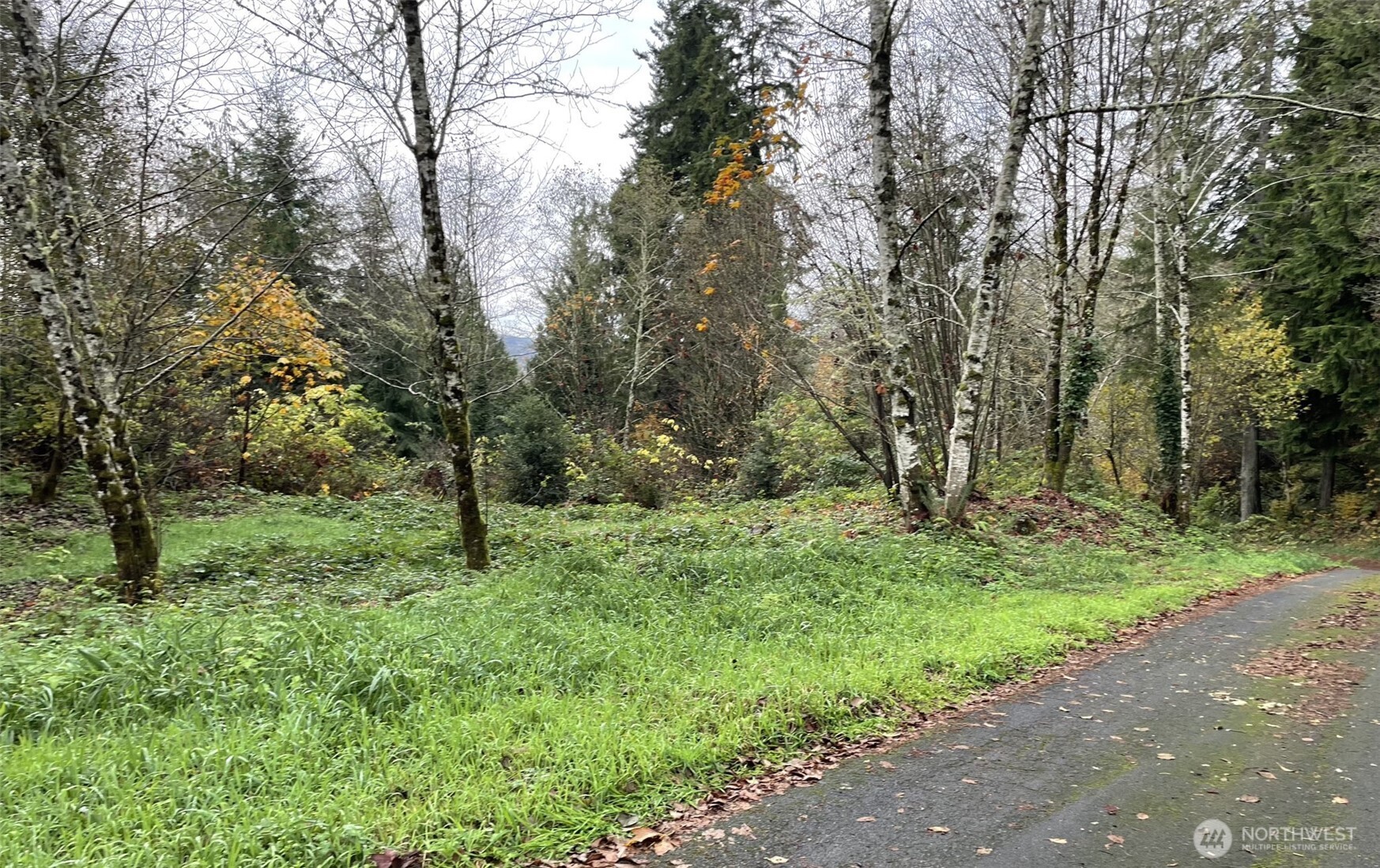 3106 Olympic Highway Property Photo 1