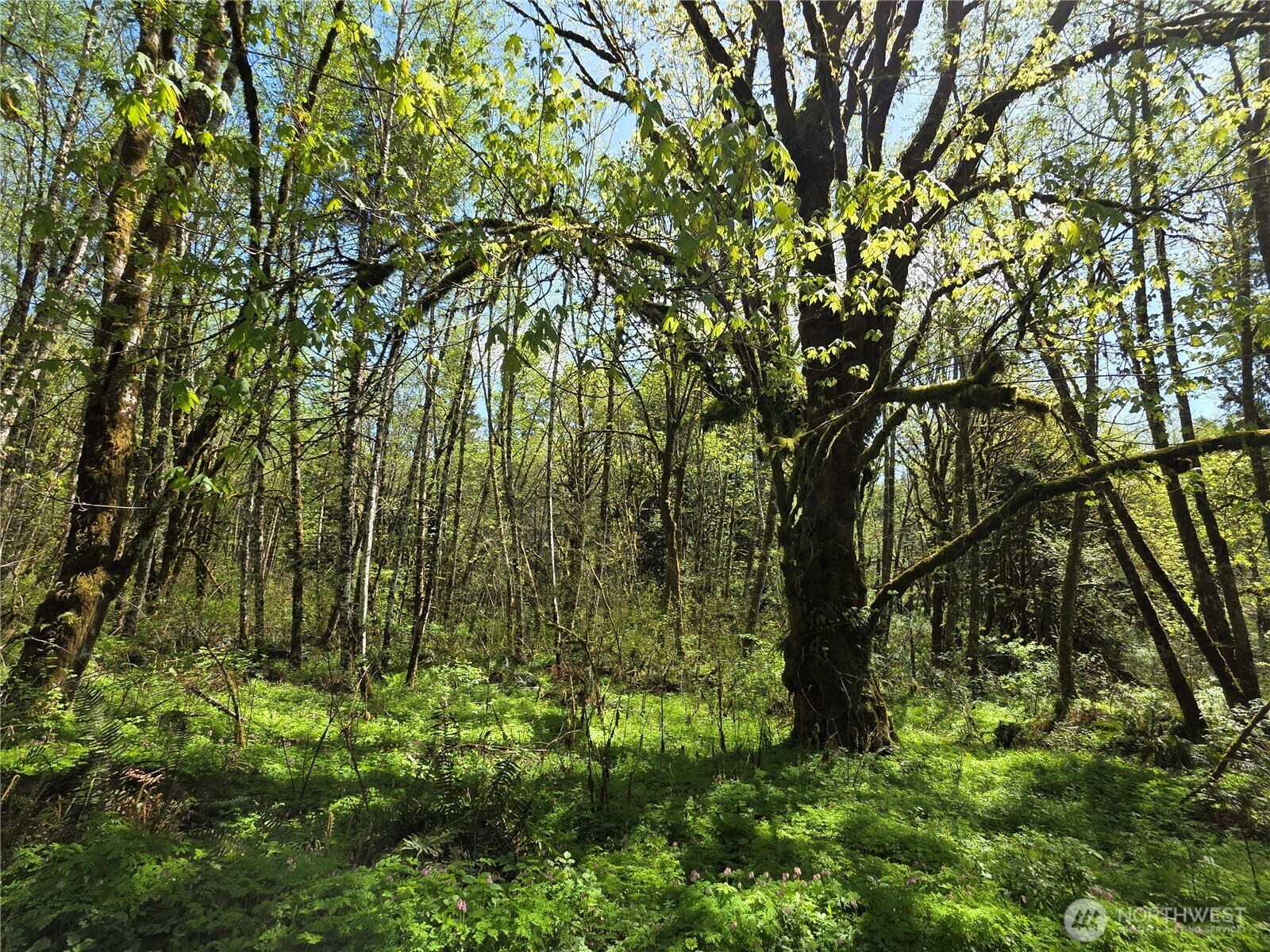 0 Mill Falls Lane Property Photo