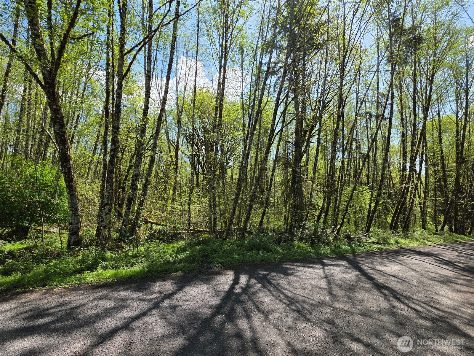 0 Mill Falls Lane Property Photo 14
