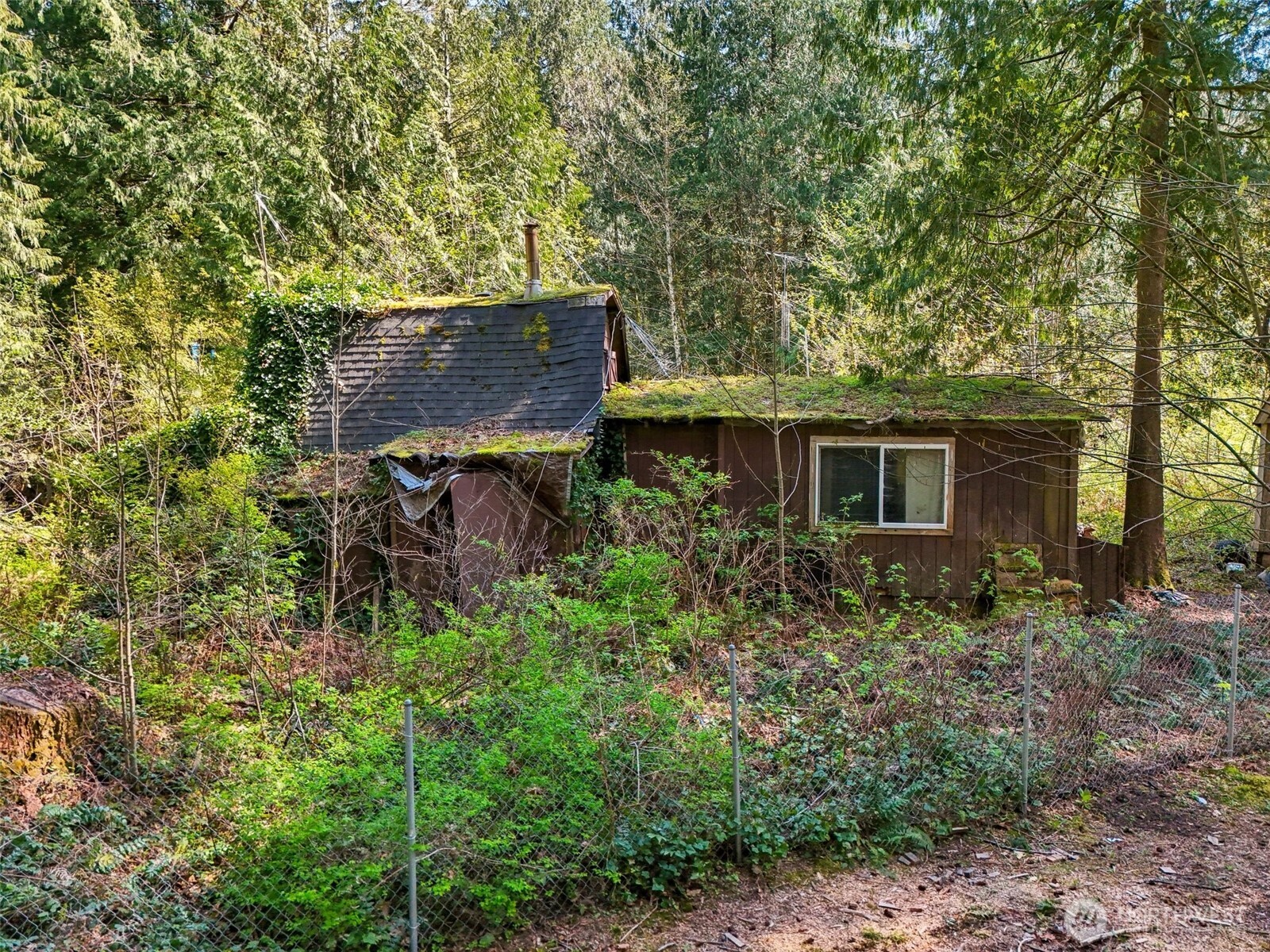 51223 195th Place Property Photo 9