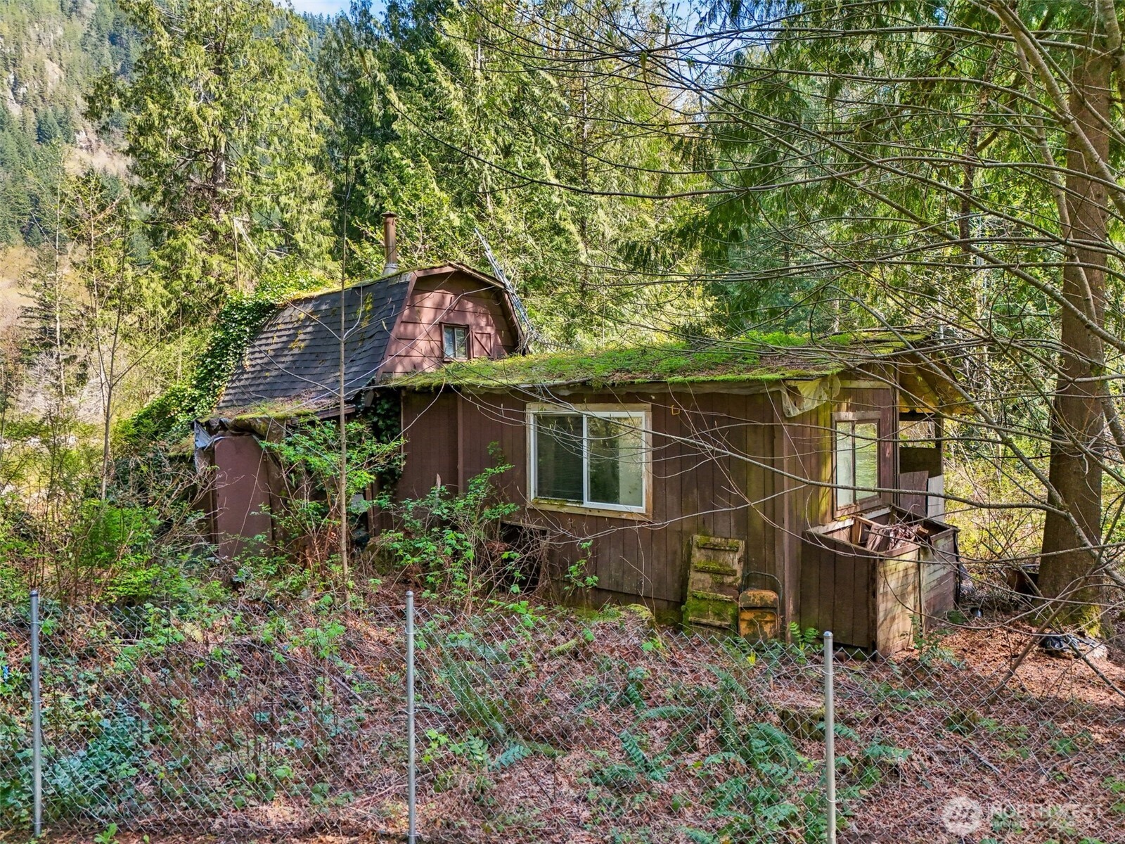 51223 195th Place Property Photo 10