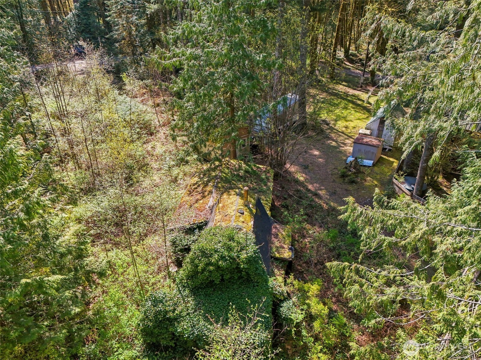 51223 195th Place Property Photo 14