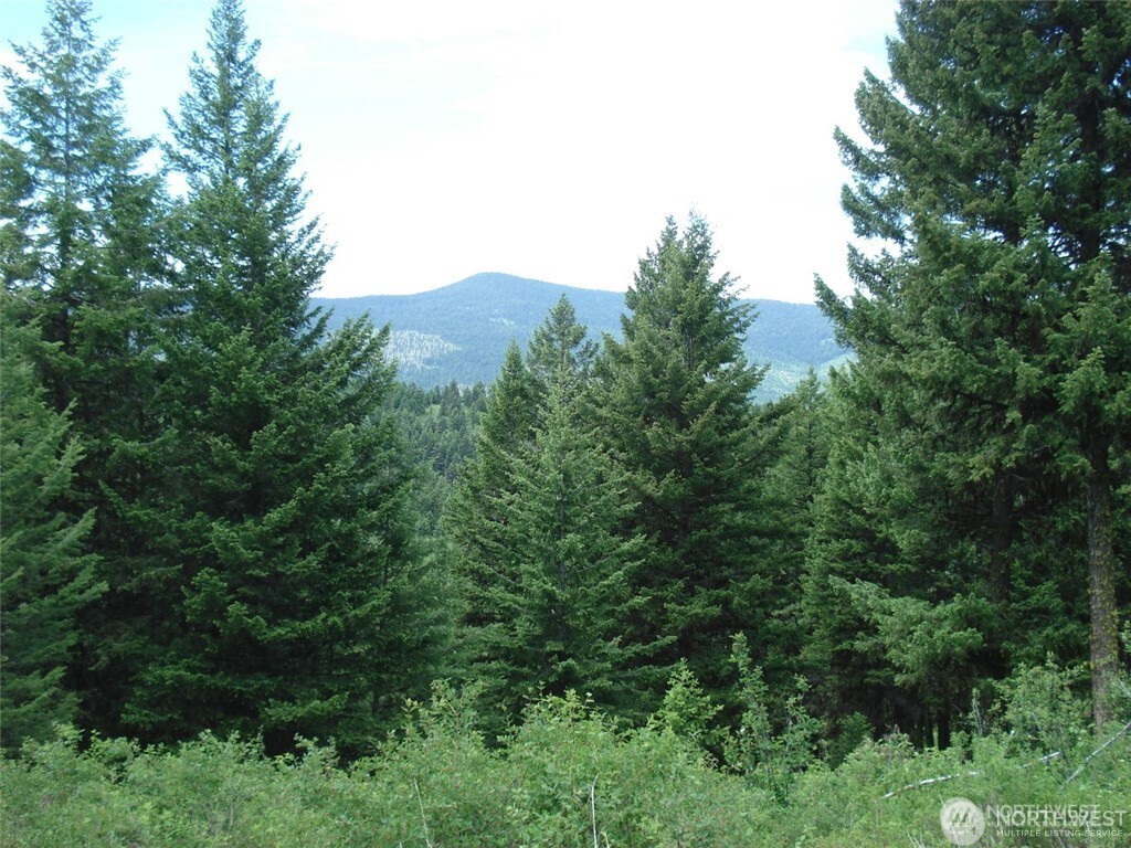 Ferry County Real Estate Listings Main Image