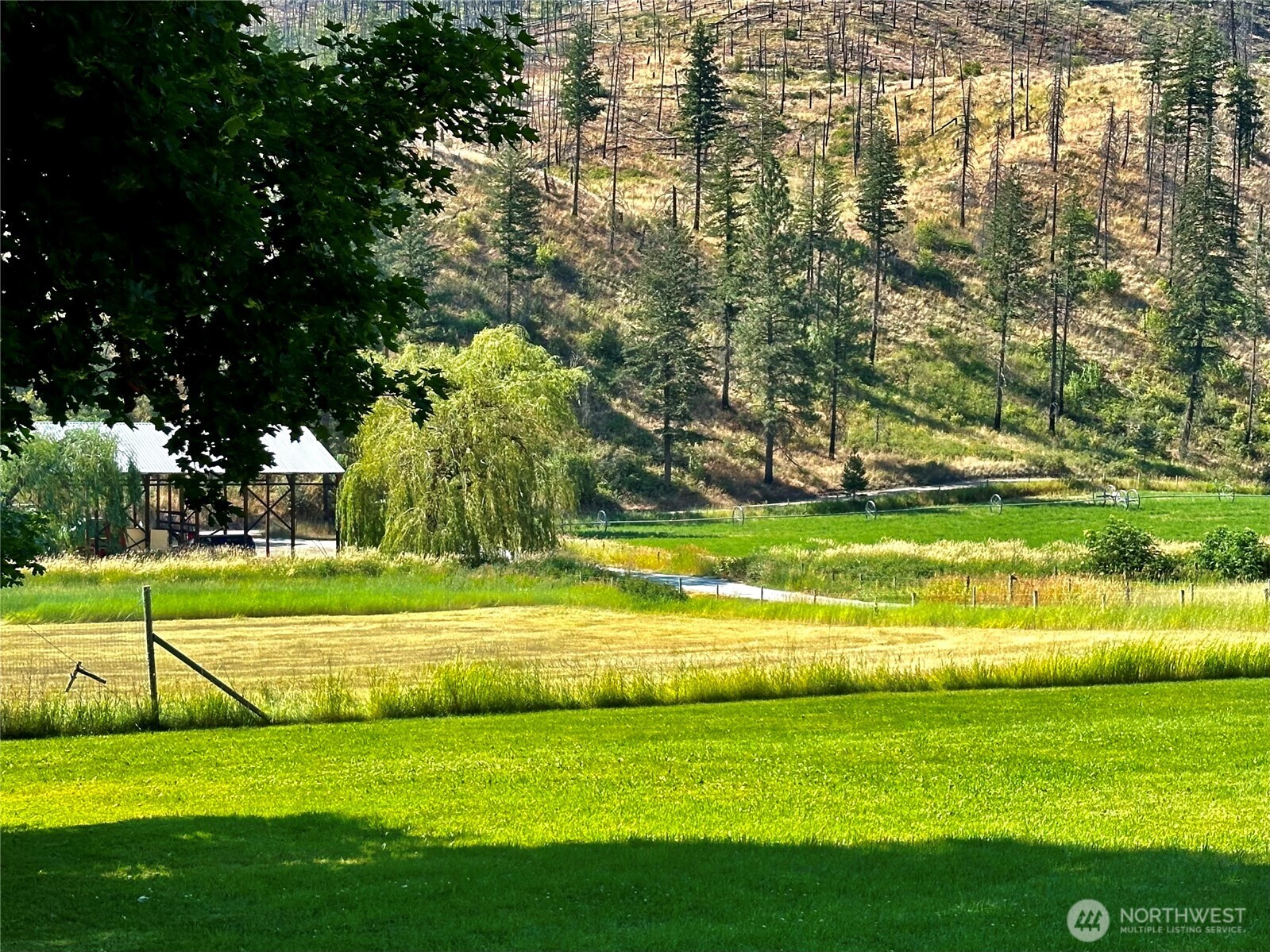 240 Mcfarland Creek Road Property Photo 3
