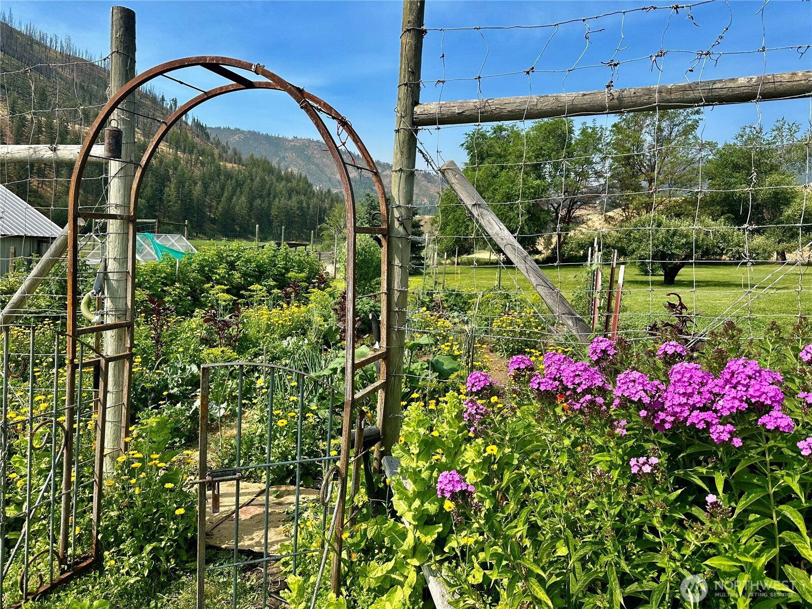 240 Mcfarland Creek Road Property Photo 9