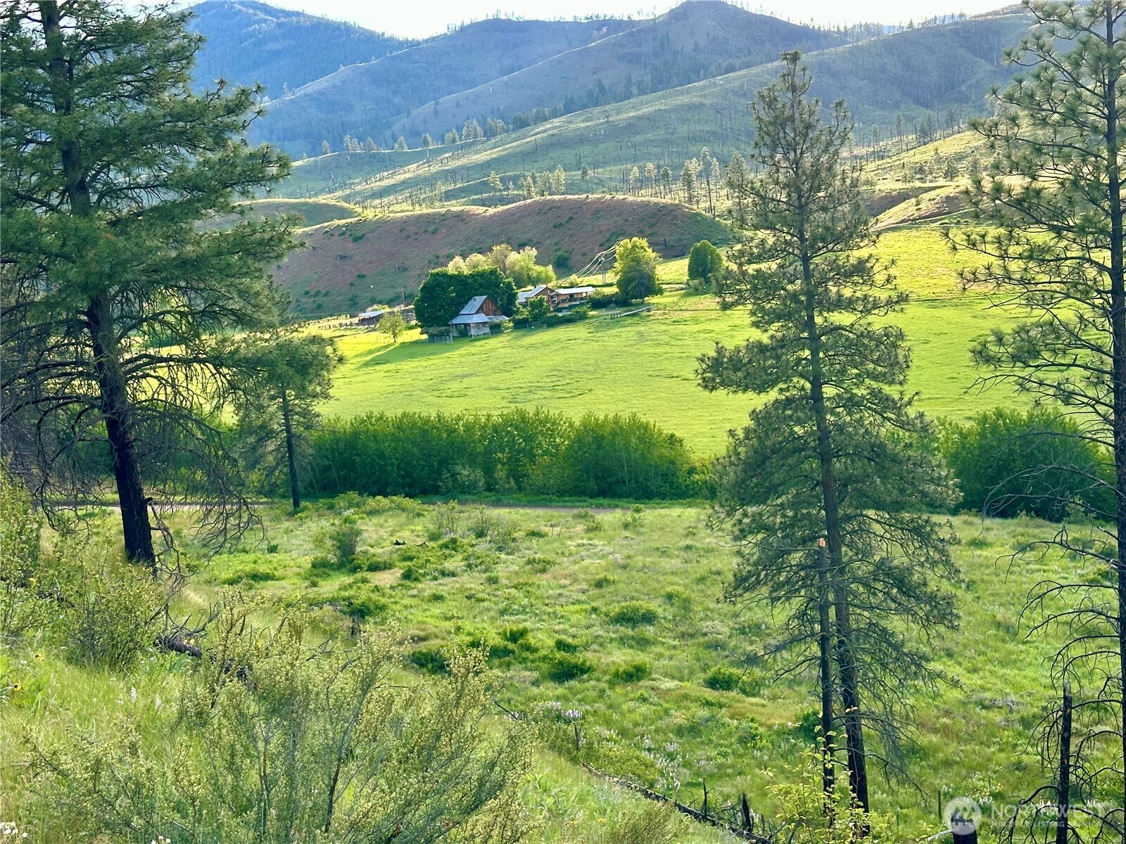 240 Mcfarland Creek Road Property Photo 22