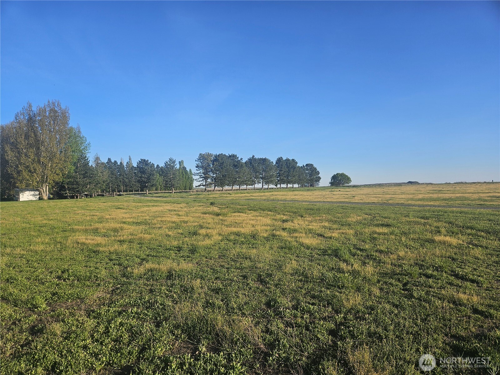 1830 W Black Arrow Lane 1 Property Photo 13