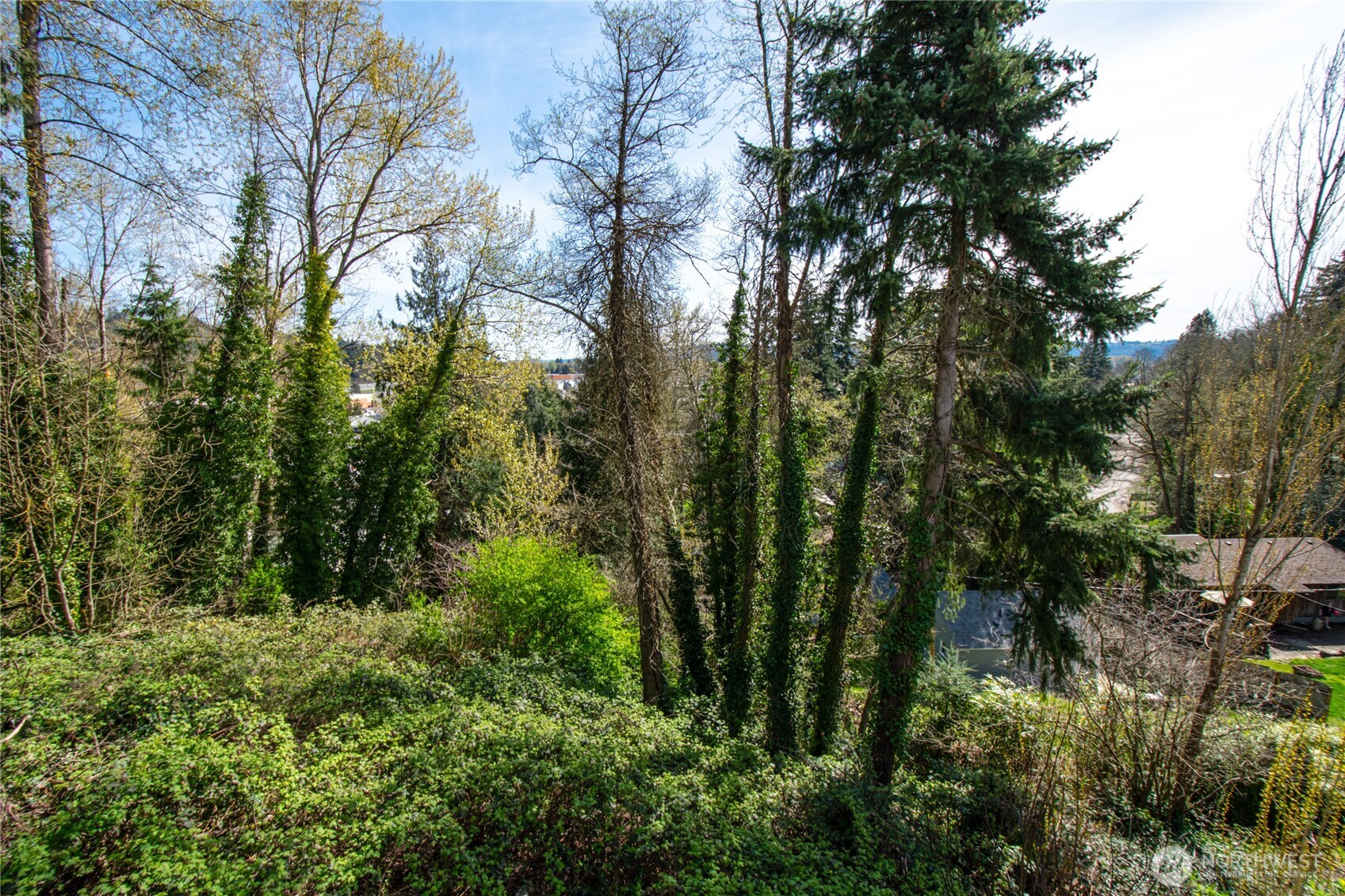 1006 Cowlitz Way Property Photo 29