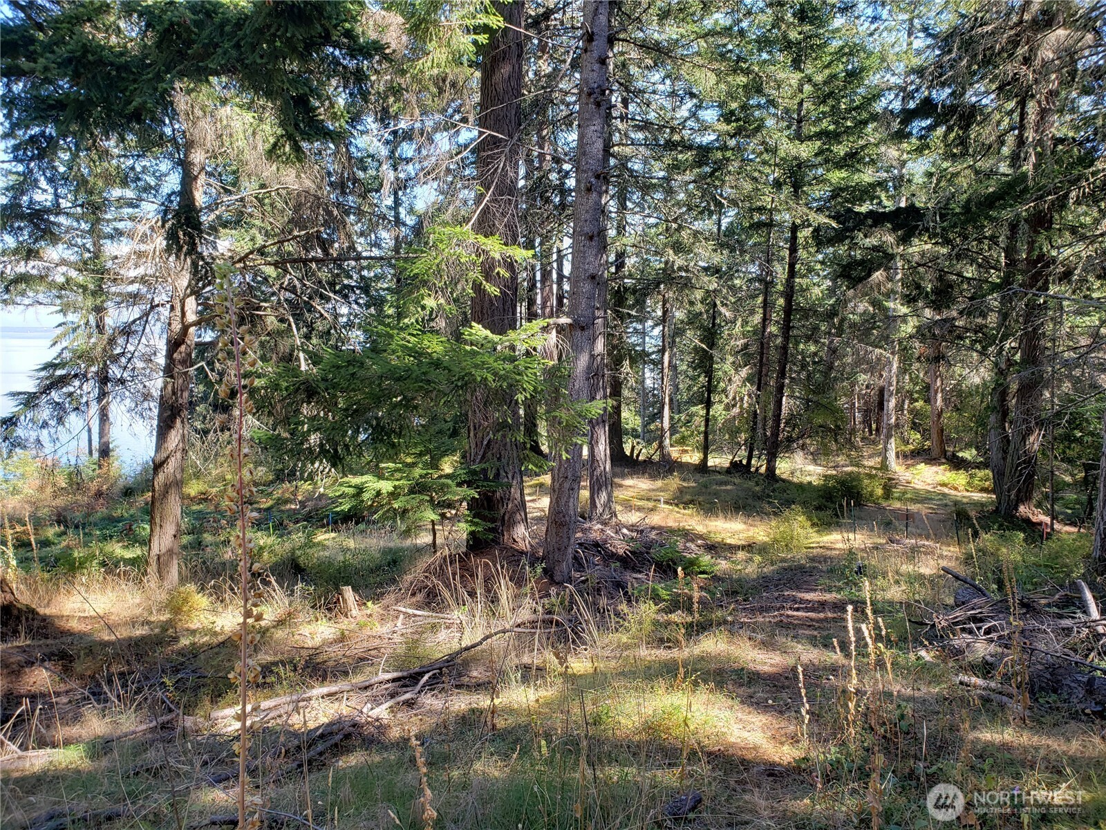 0 Matia View Short Plat Road Lot 2 Property Photo 3
