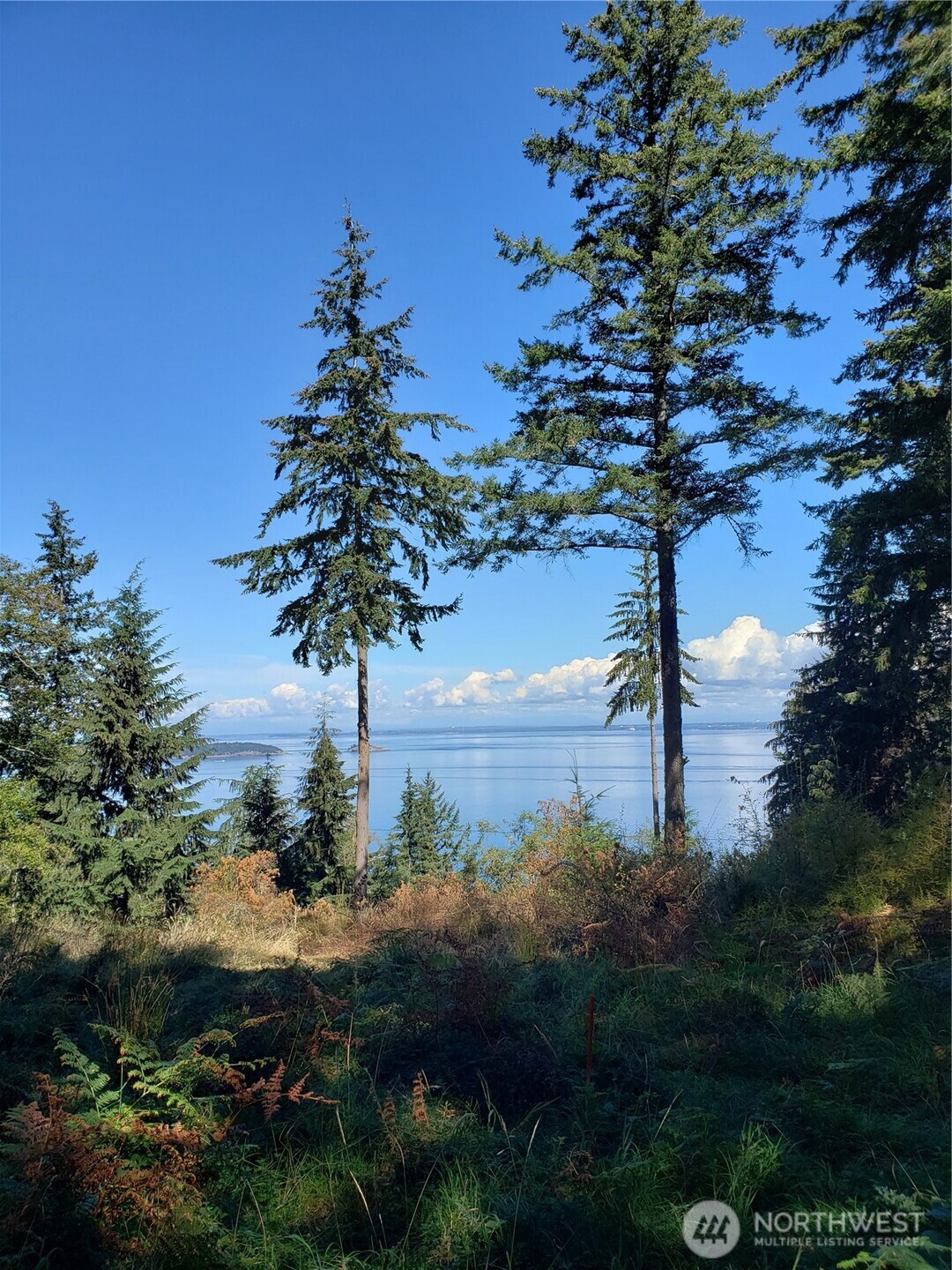 0 Matia View Short Plat Road Lot 2 Property Photo 6