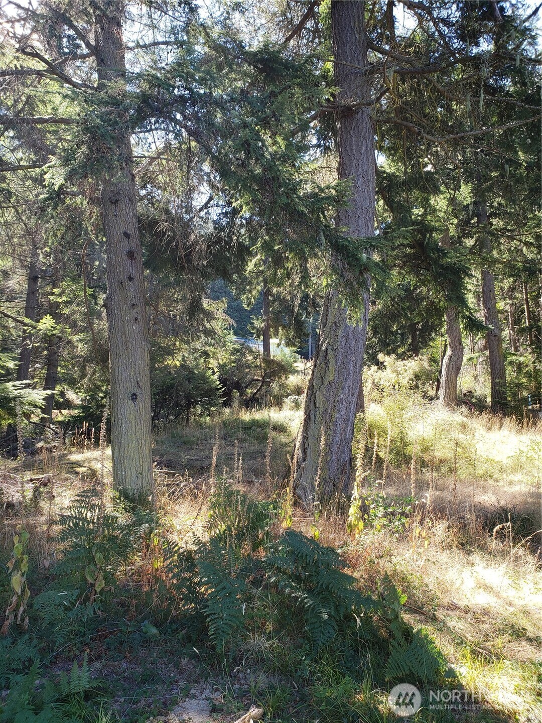 0 Matia View Short Plat Road Lot 2 Property Photo 8