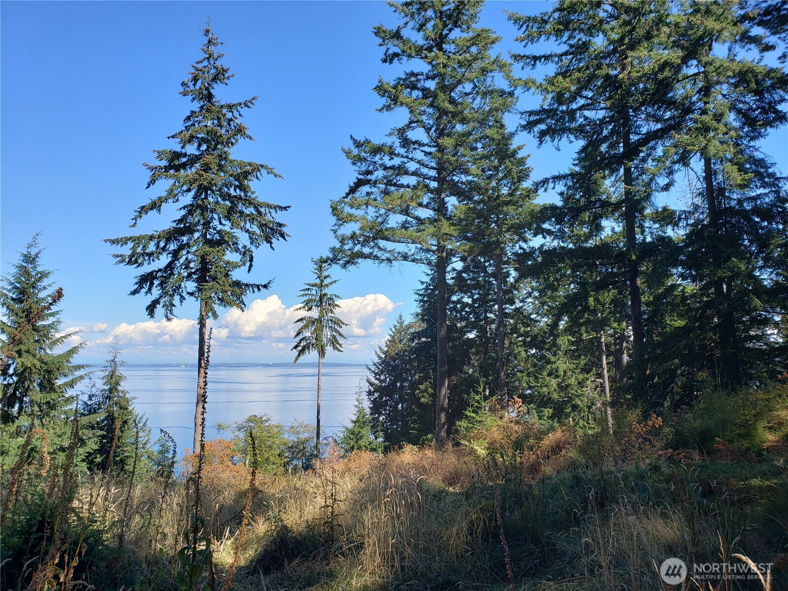 0 Matia View Short Plat Road Lot 2 Property Photo 9