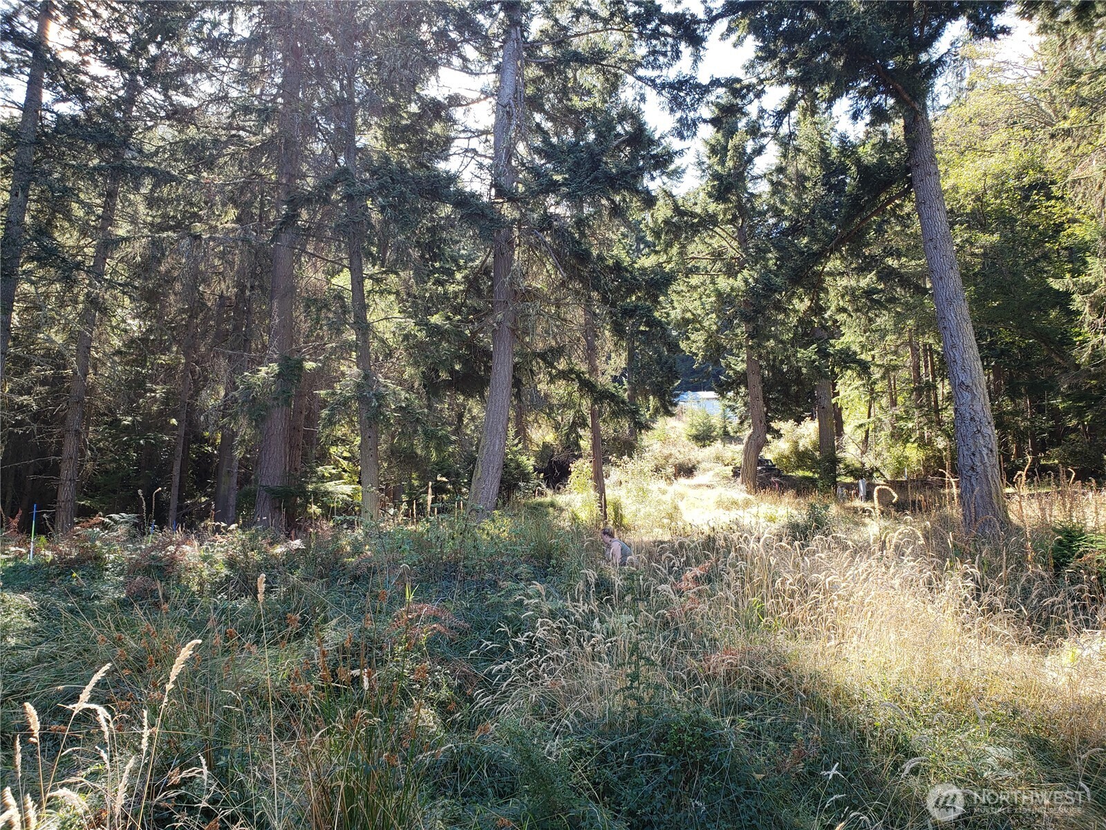 0 Matia View Short Plat Road Lot 2 Property Photo 10
