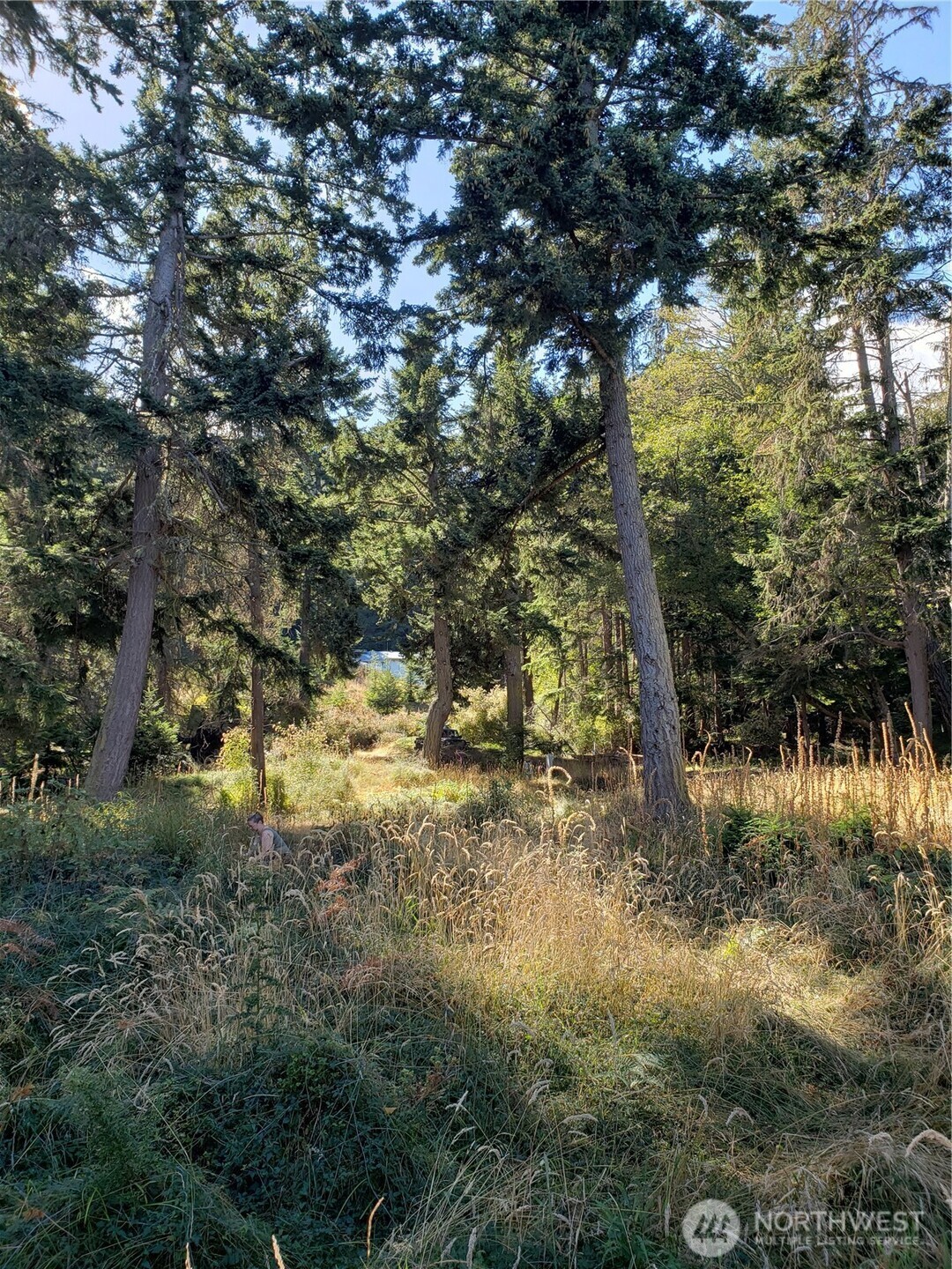 0 Matia View Short Plat Road Lot 2 Property Photo 12