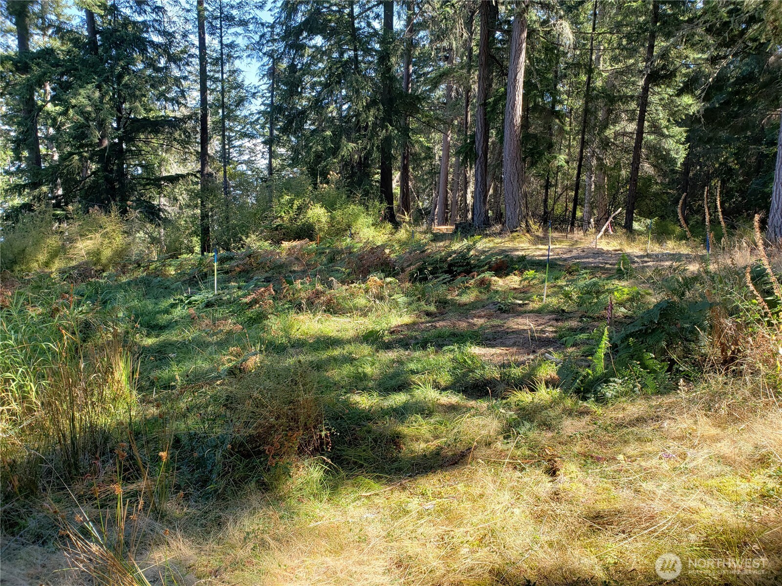 0 Matia View Short Plat Road Lot 2 Property Photo 13