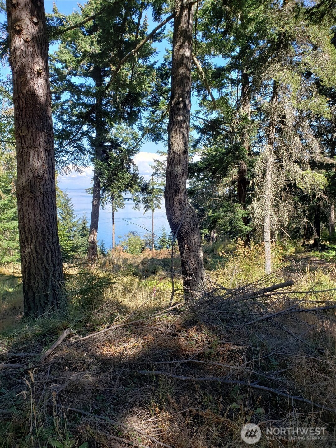 0 Matia View Short Plat Road Lot 2 Property Photo 16