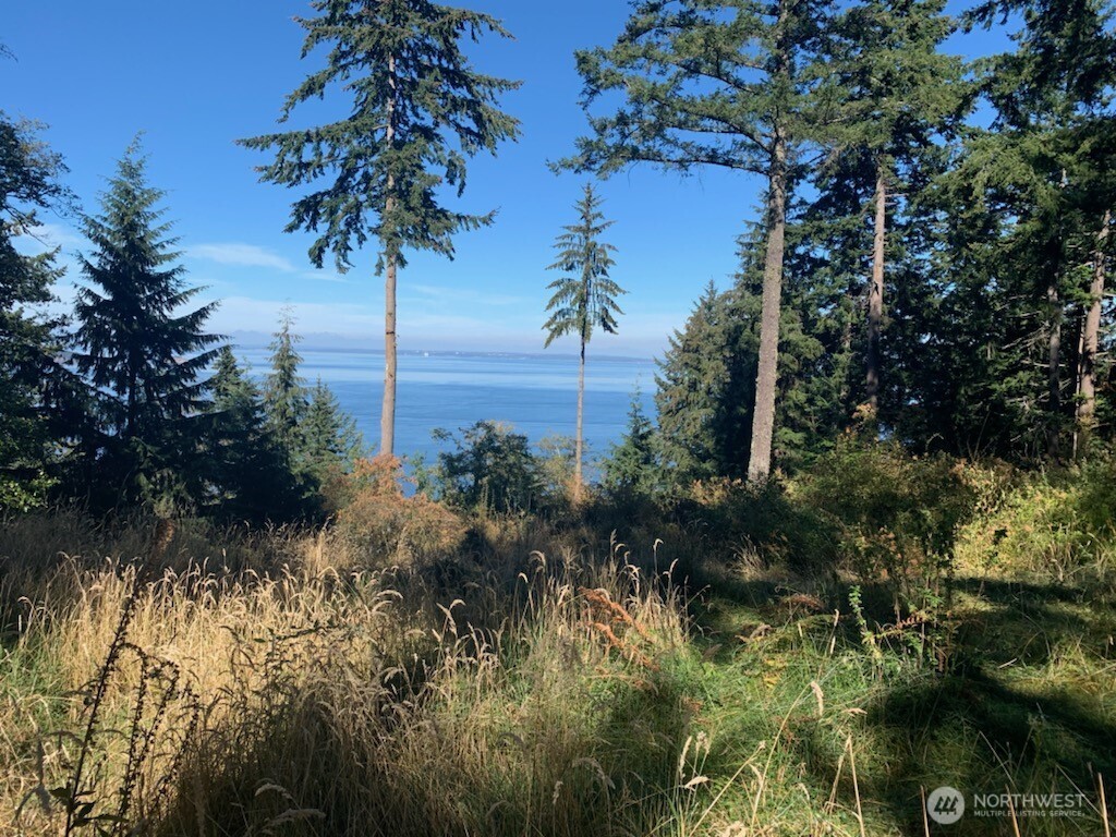 0 Matia View Short Plat Road Lot 2 Property Photo 18
