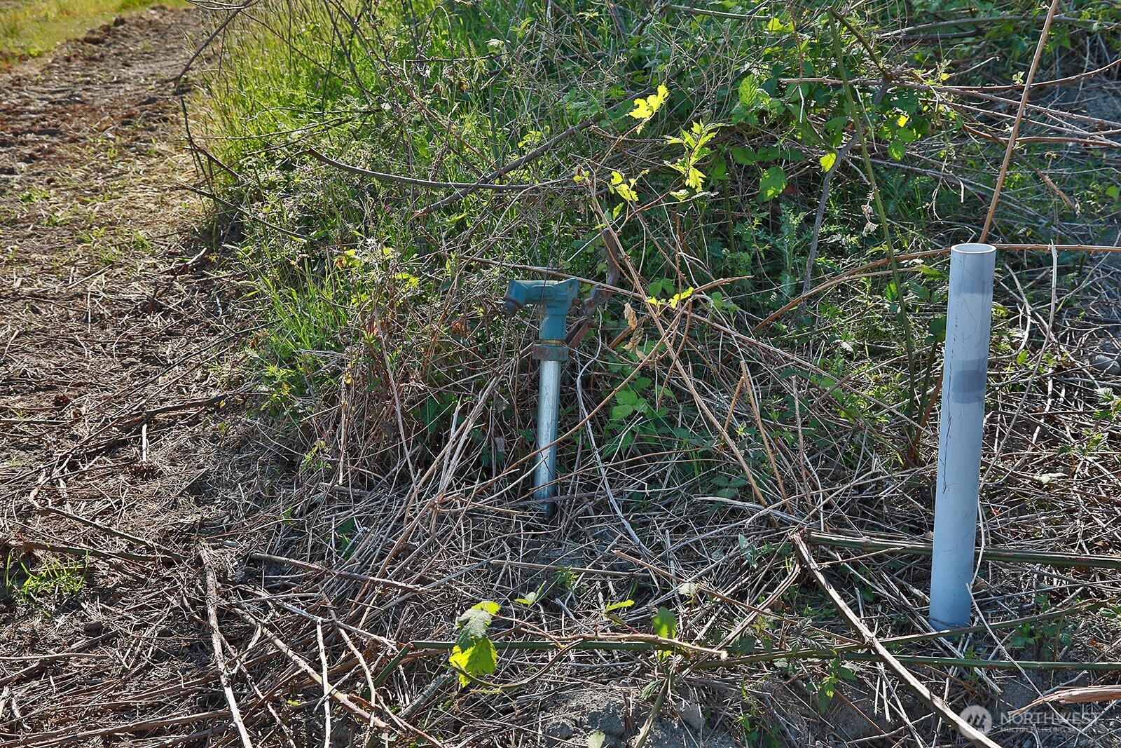 0 Woodland Lane Property Photo 13