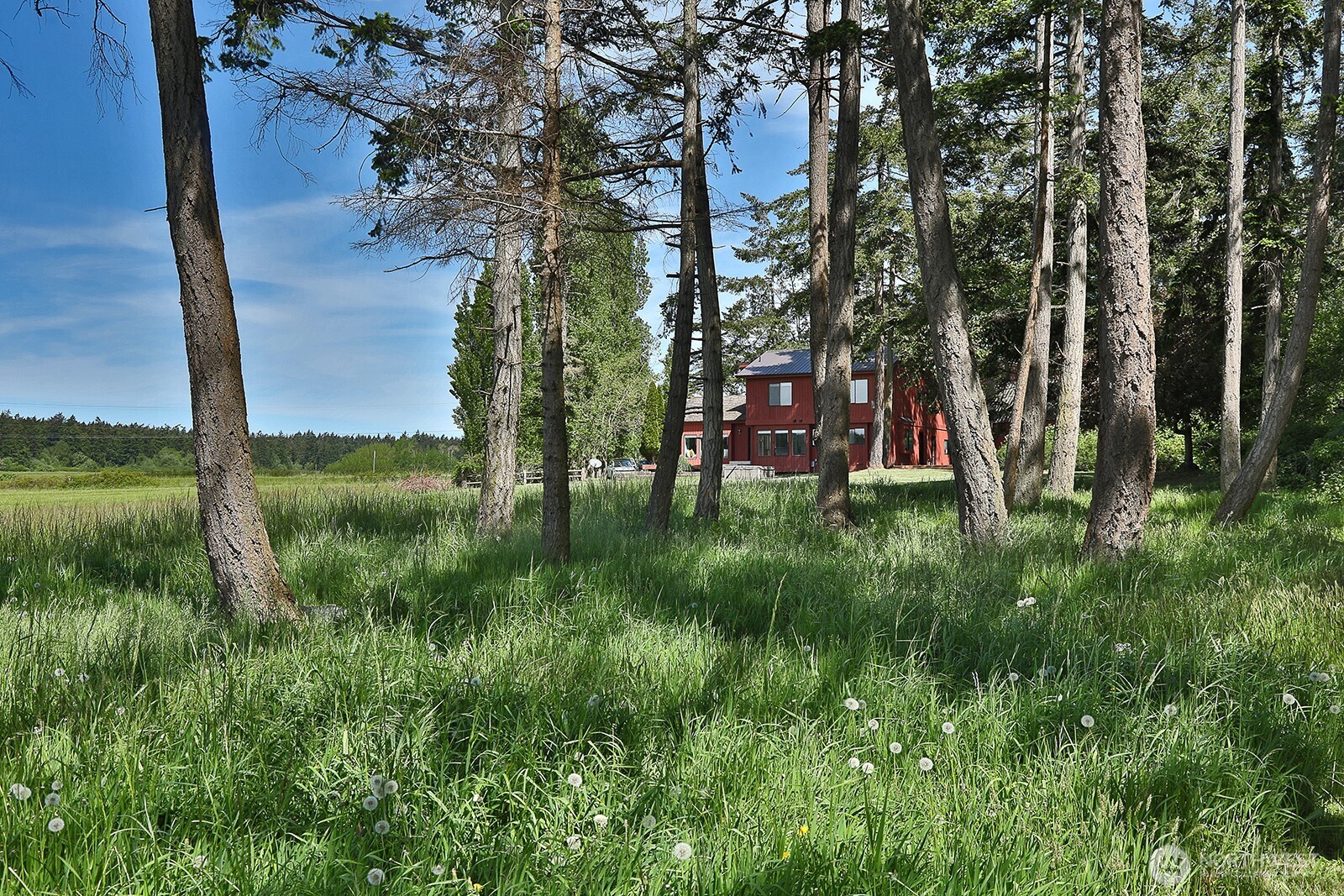 1261 Arnold Road Property Photo 29