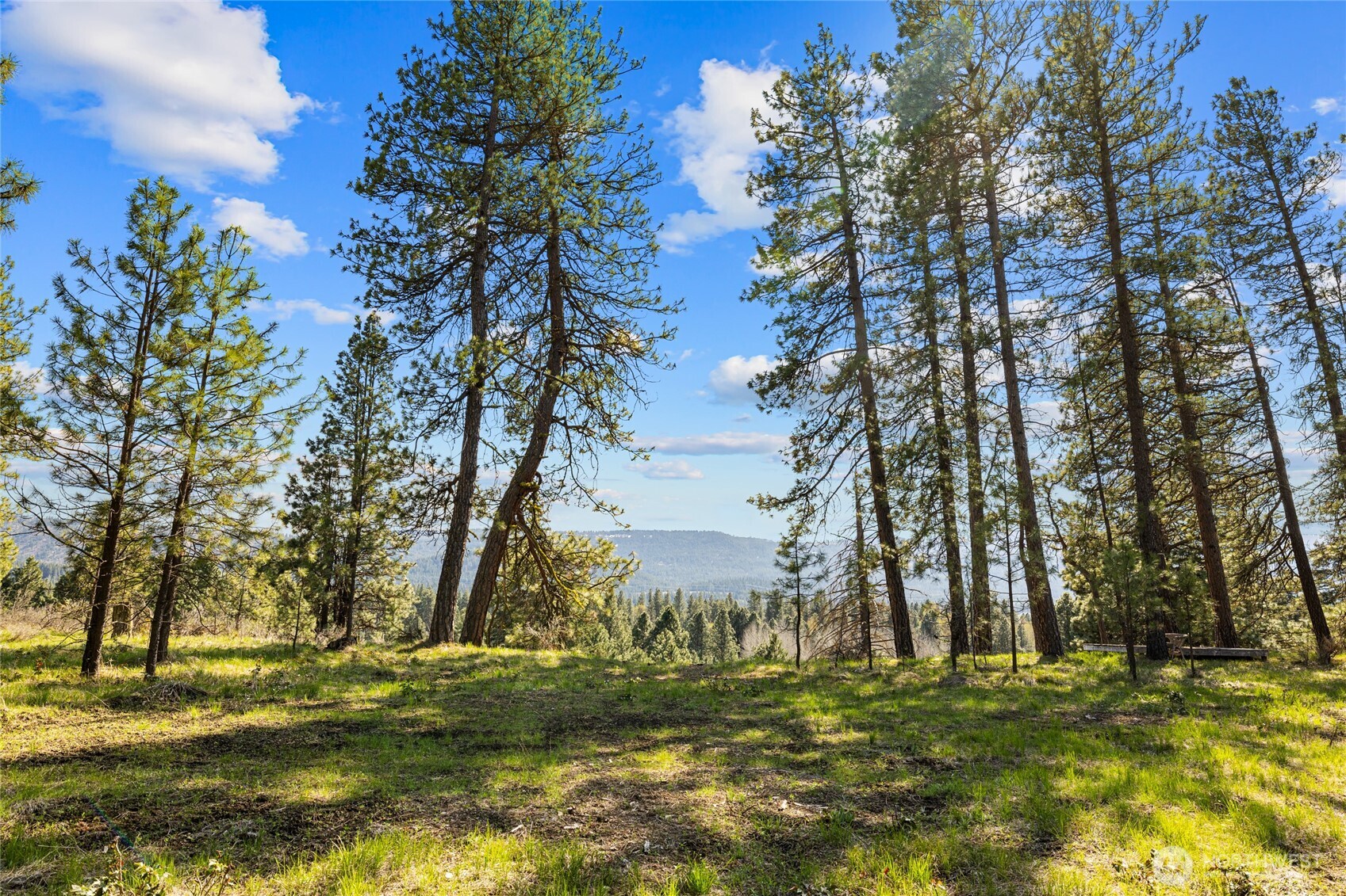 404 Hawksbeard Road Property Photo