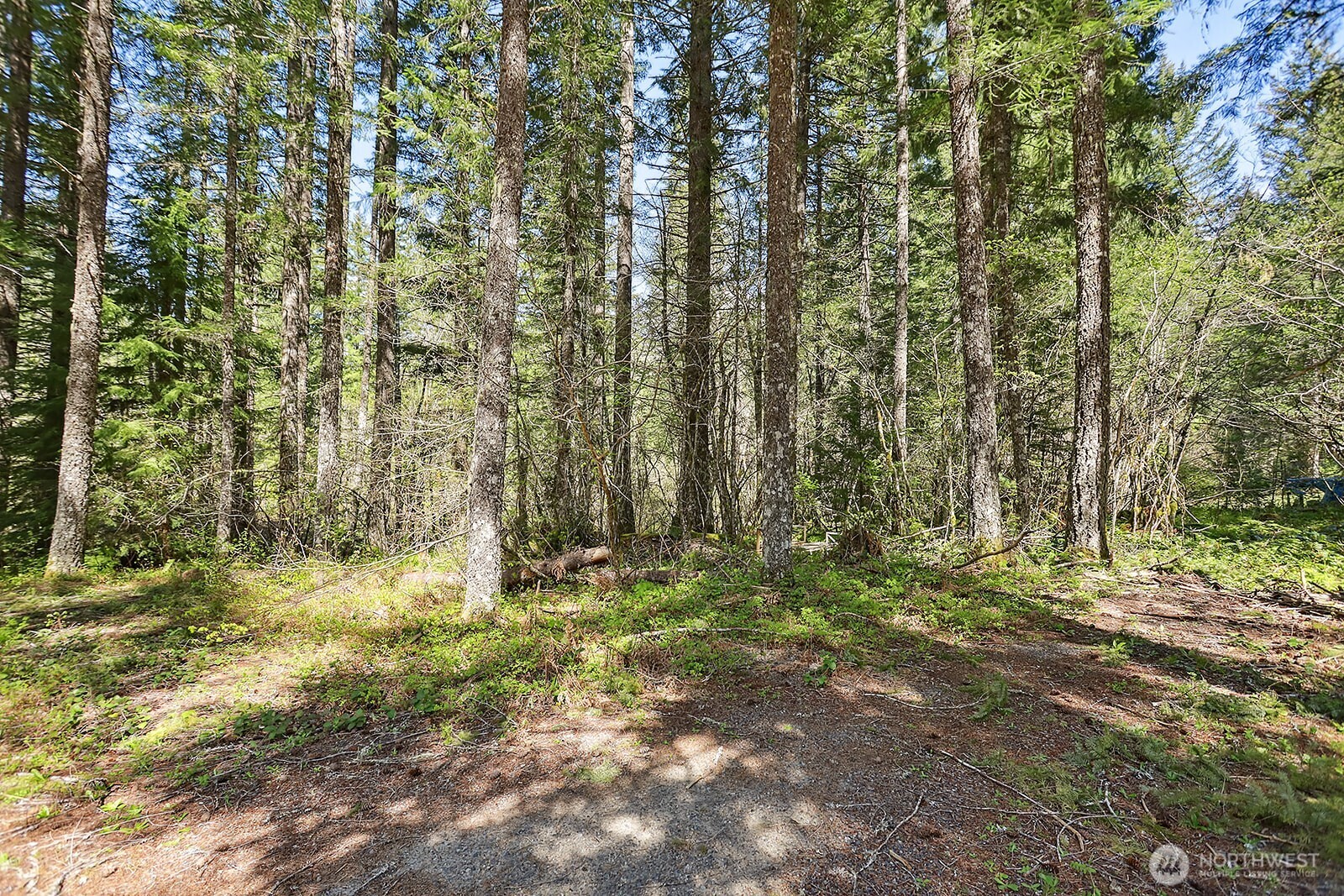 52 Foster Road Property Photo 1