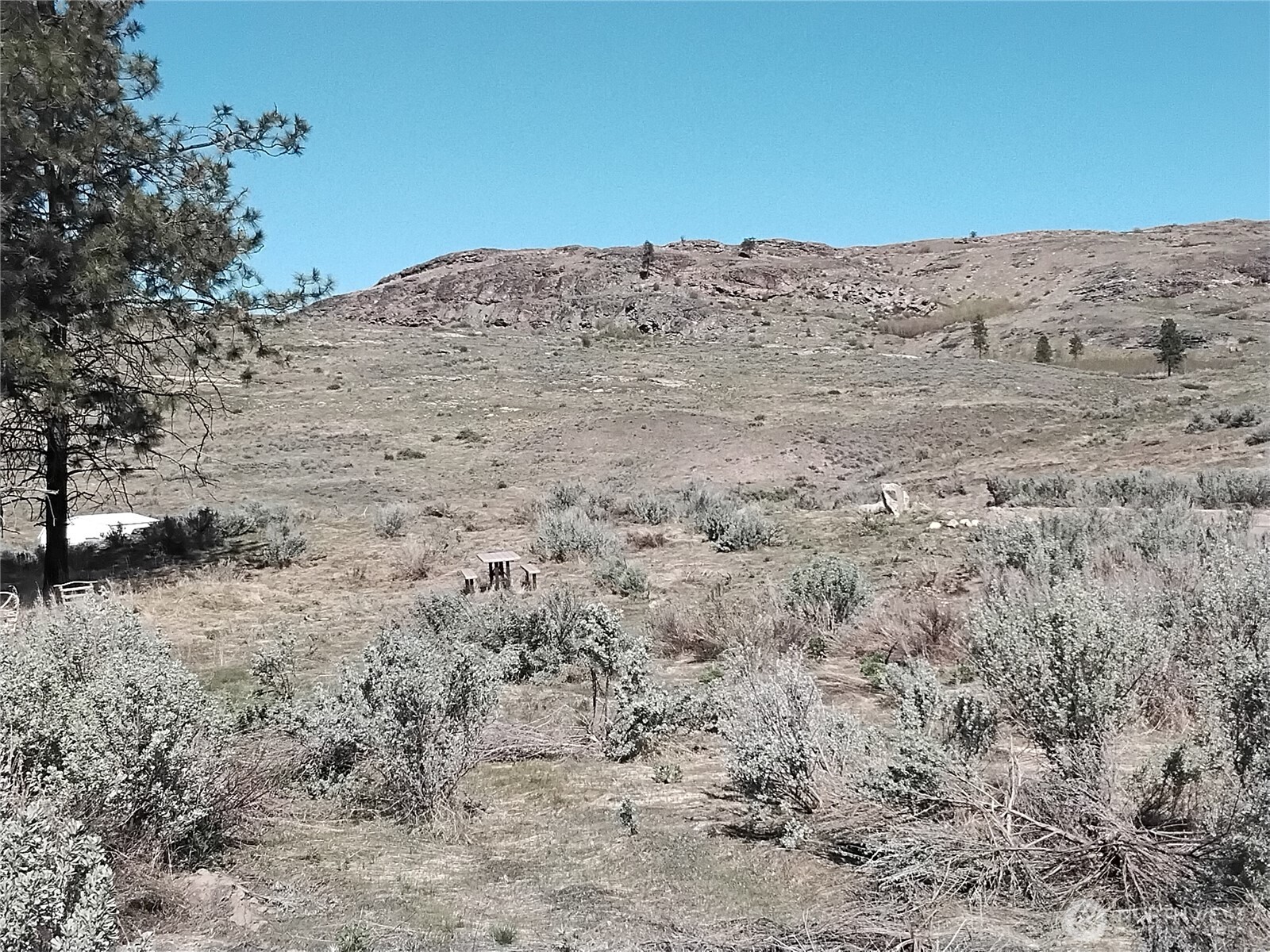 0 Painted Rock Property Photo 9