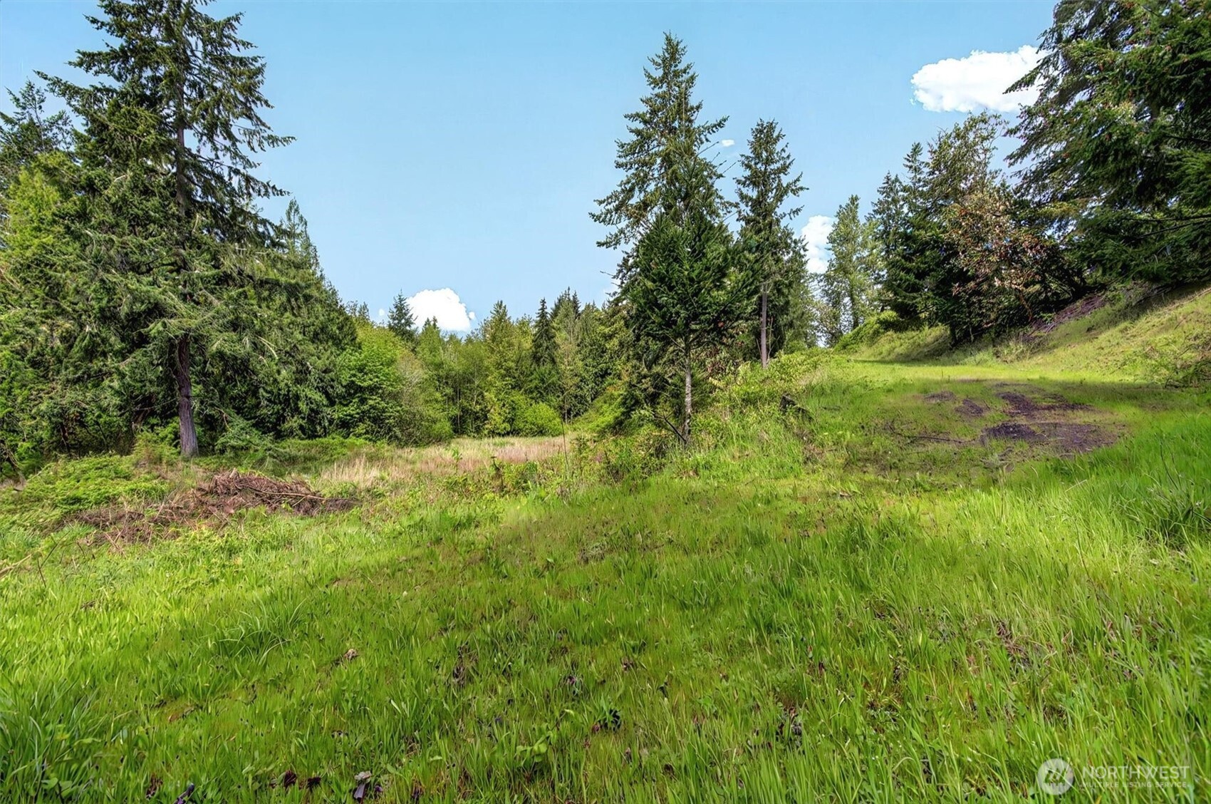 6925 Old Pacific Highway Property Photo