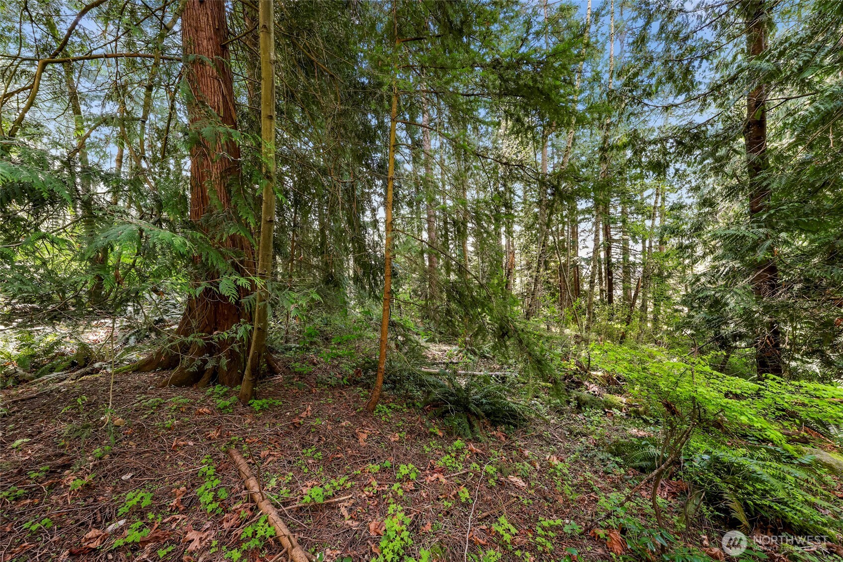 1800 40th Place Property Photo 5
