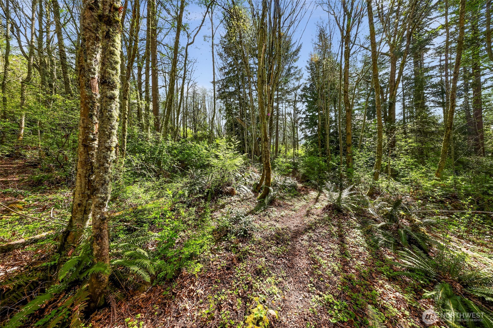 1800 40th Place Property Photo 6