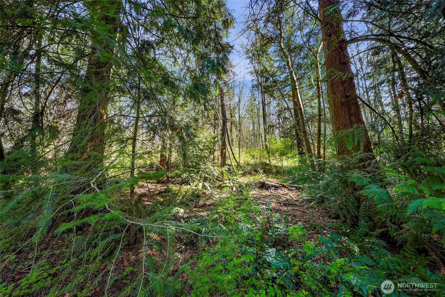 1800 40th Place Property Photo 8
