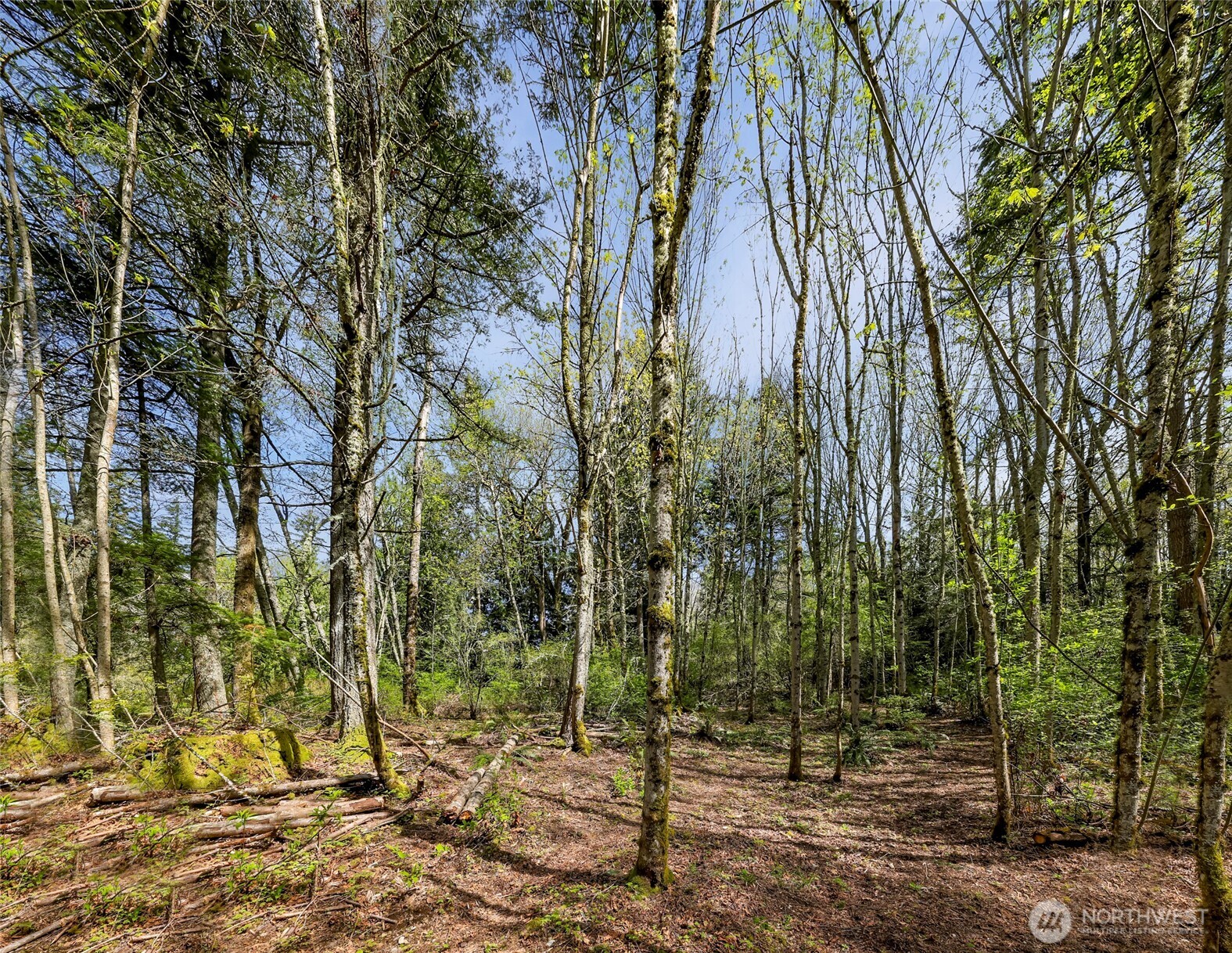 1800 40th Place Property Photo 11