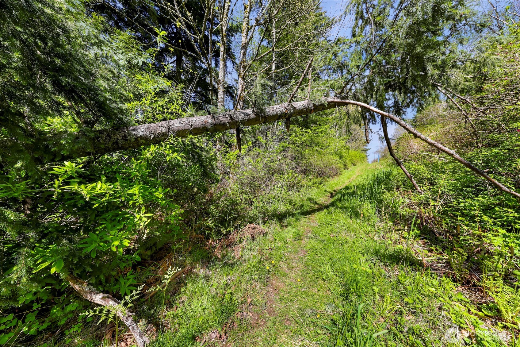 1800 40th Place Property Photo 14
