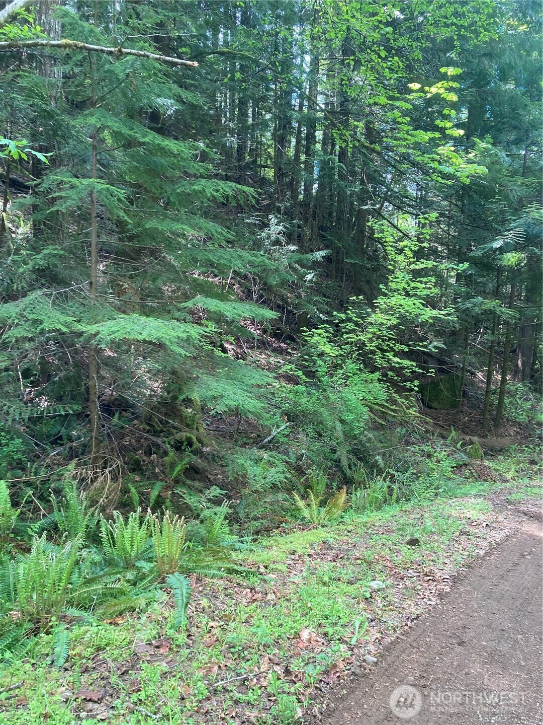 12 Dow Ridge Road Property Photo