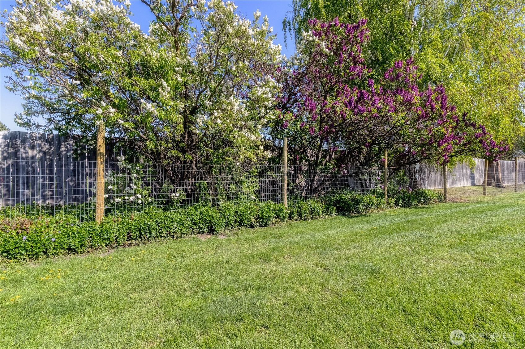 1836 Pike Place Property Photo 24