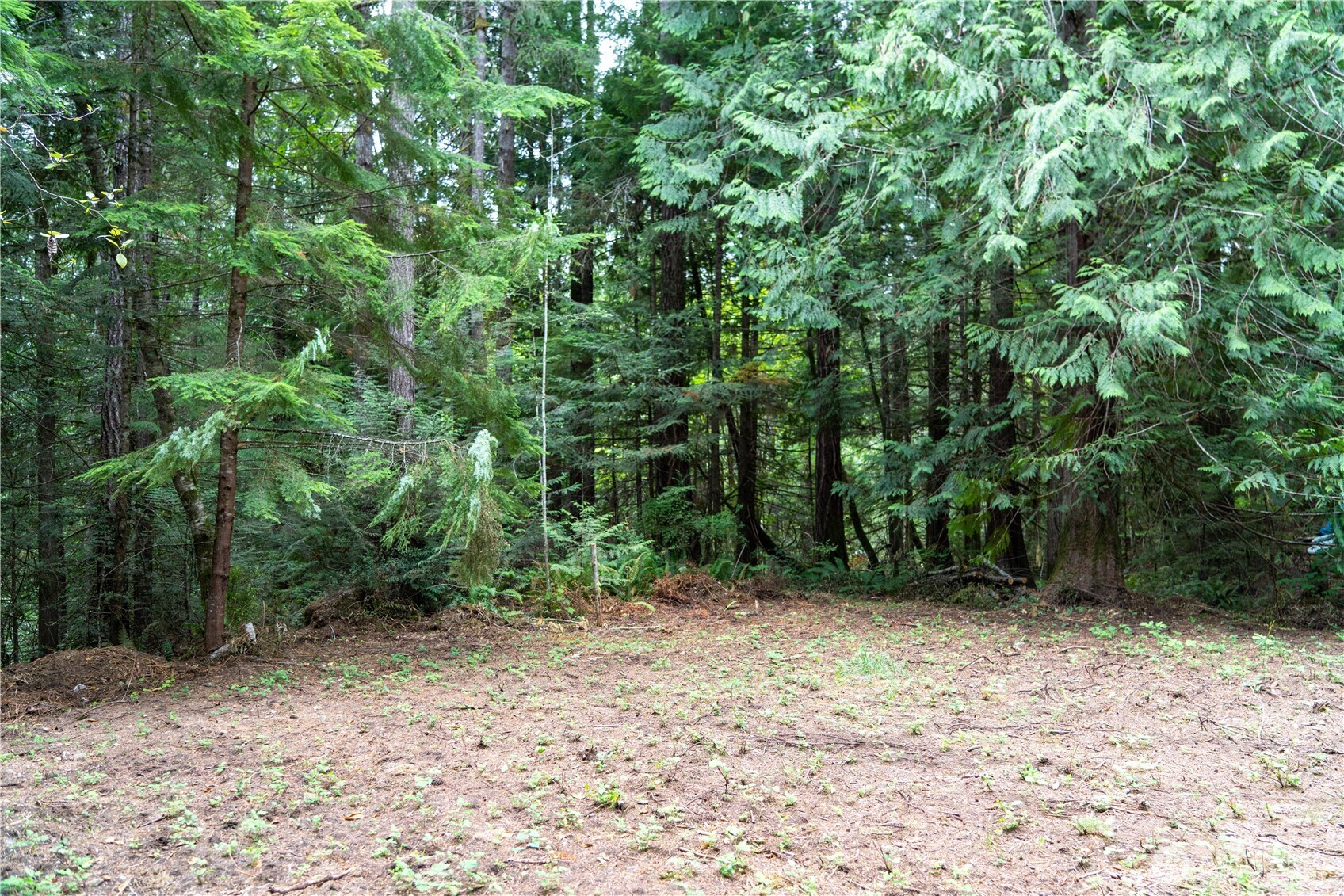 51 N Trail Head Loop Property Photo 1