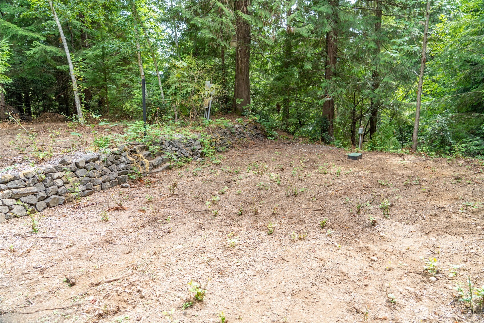 51 N Trail Head Loop Property Photo 2