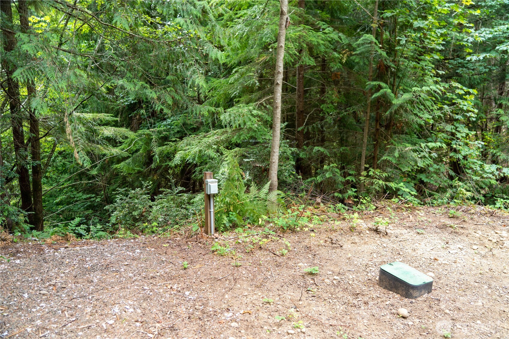 51 N Trail Head Loop Property Photo 3