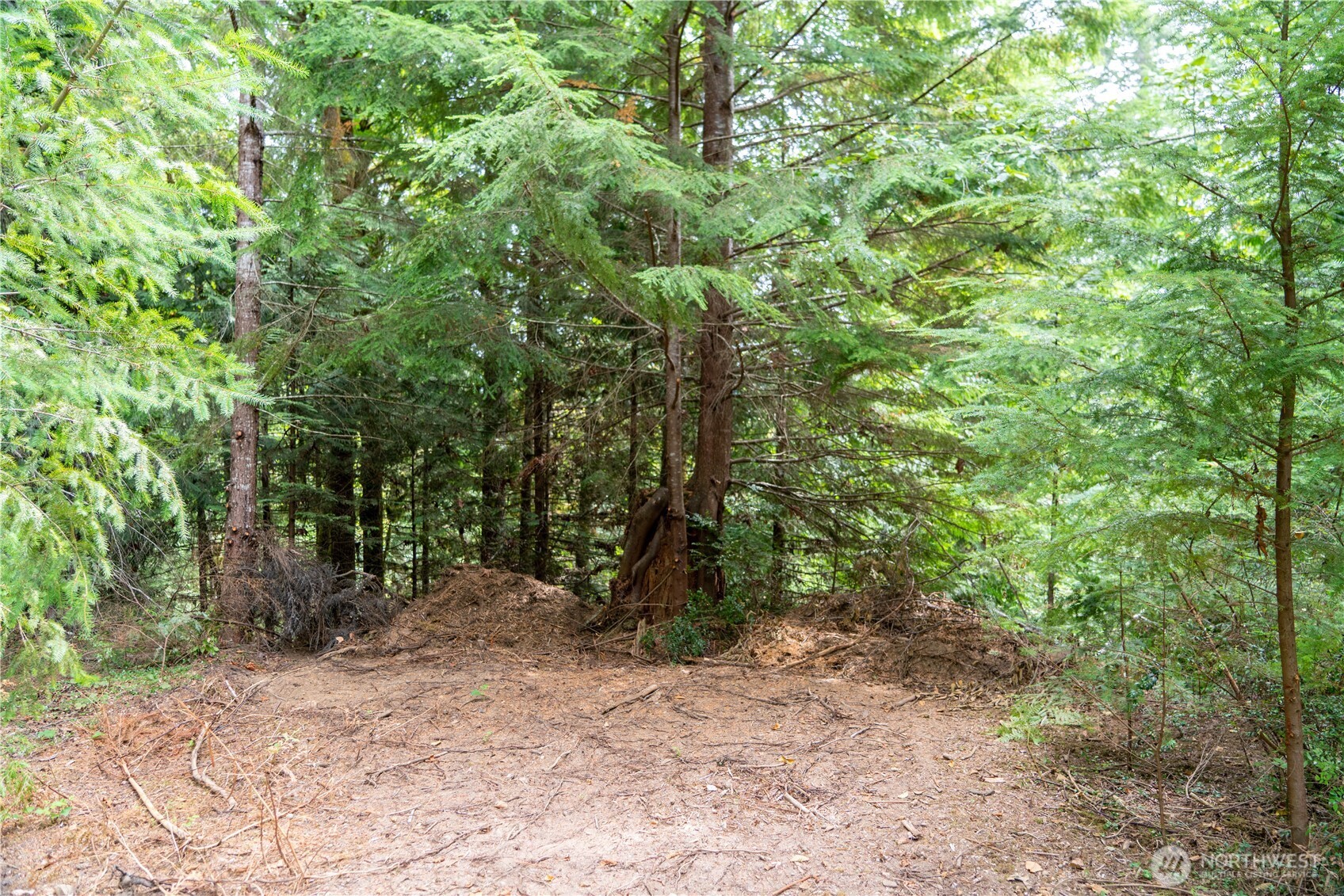 51 N Trail Head Loop Property Photo 4