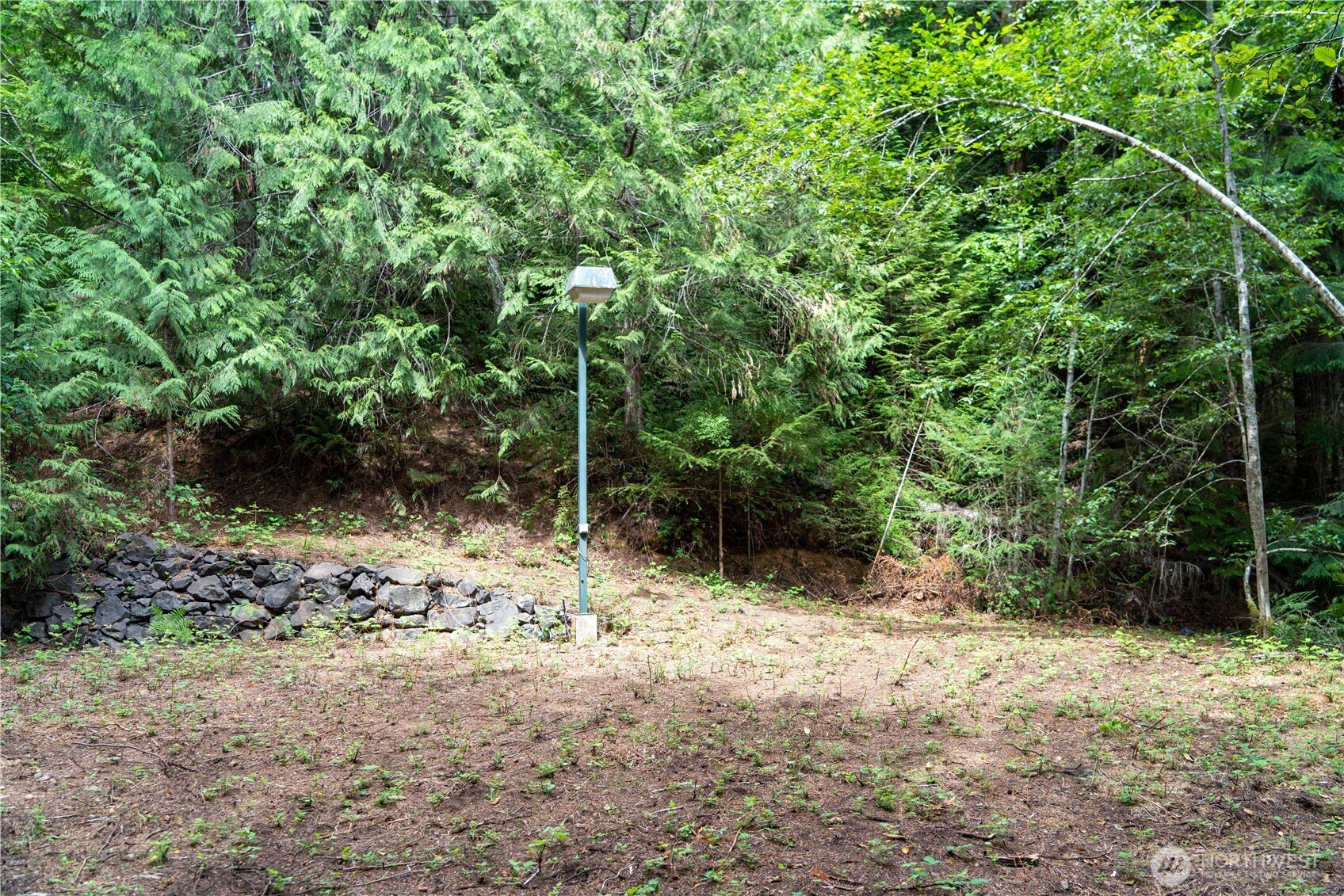 51 N Trail Head Loop Property Photo 5