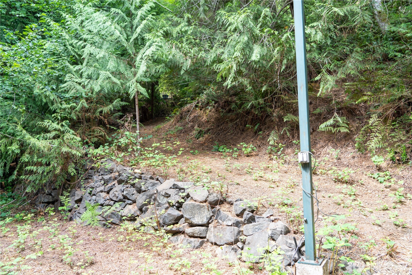 51 N Trail Head Loop Property Photo 7