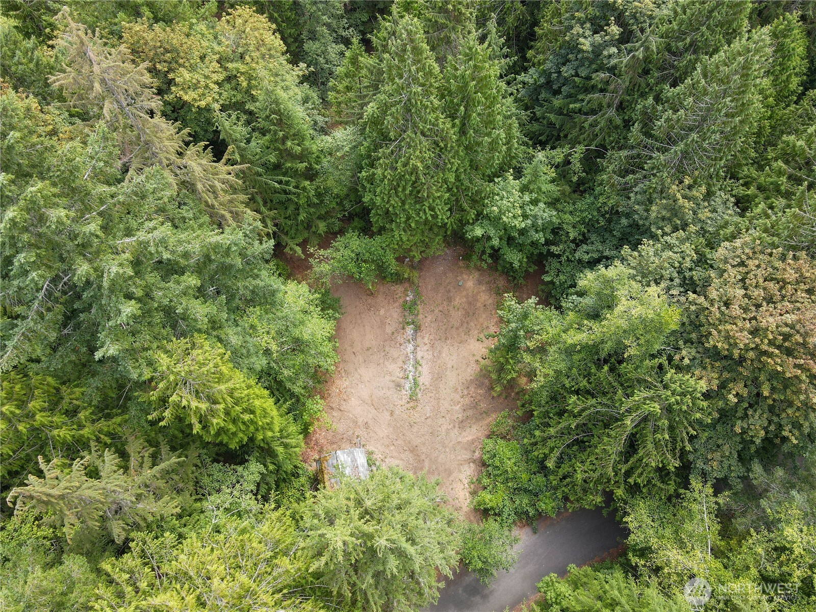 51 N Trail Head Loop Property Photo 8