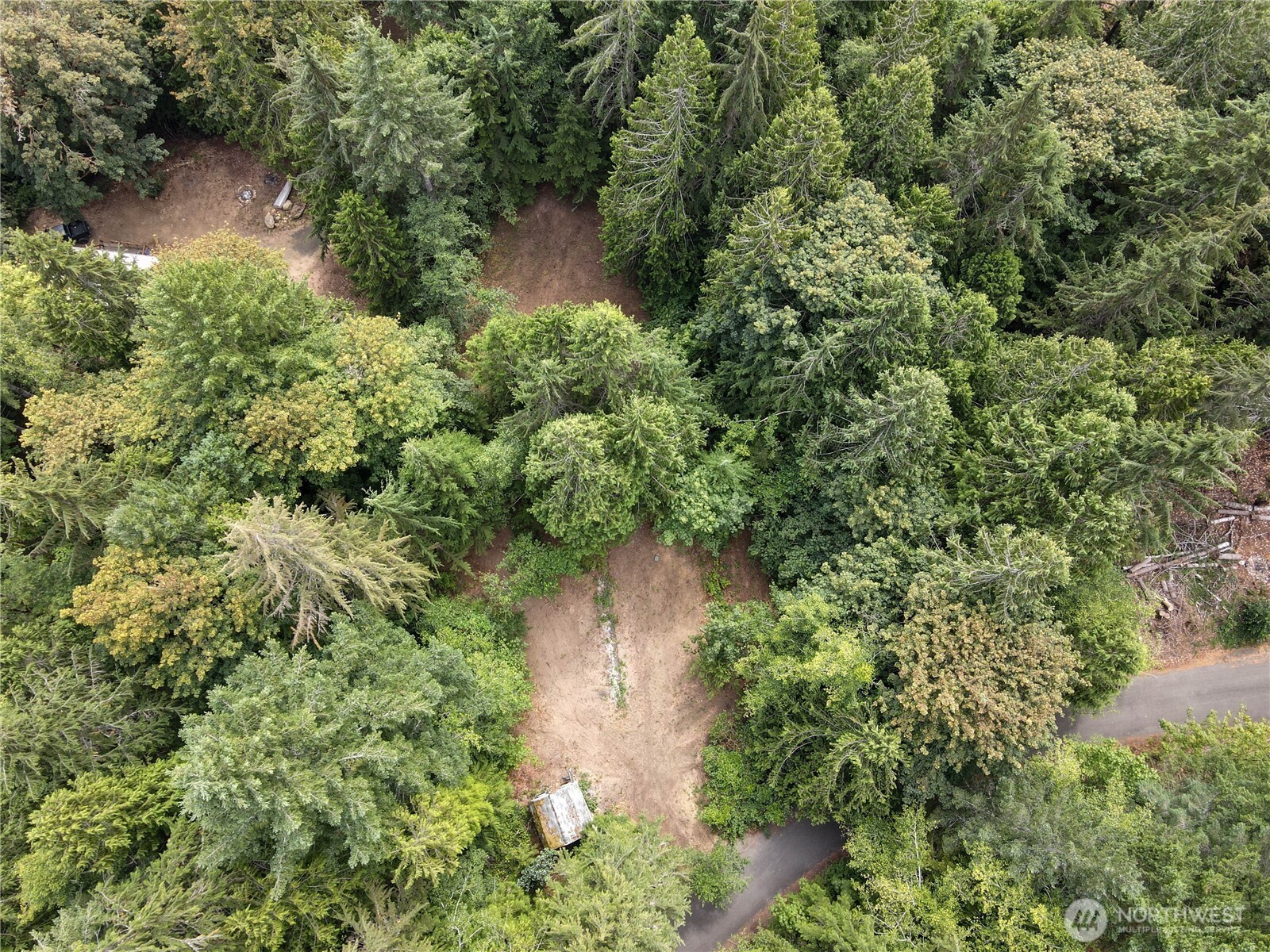 51 N Trail Head Loop Property Photo 9